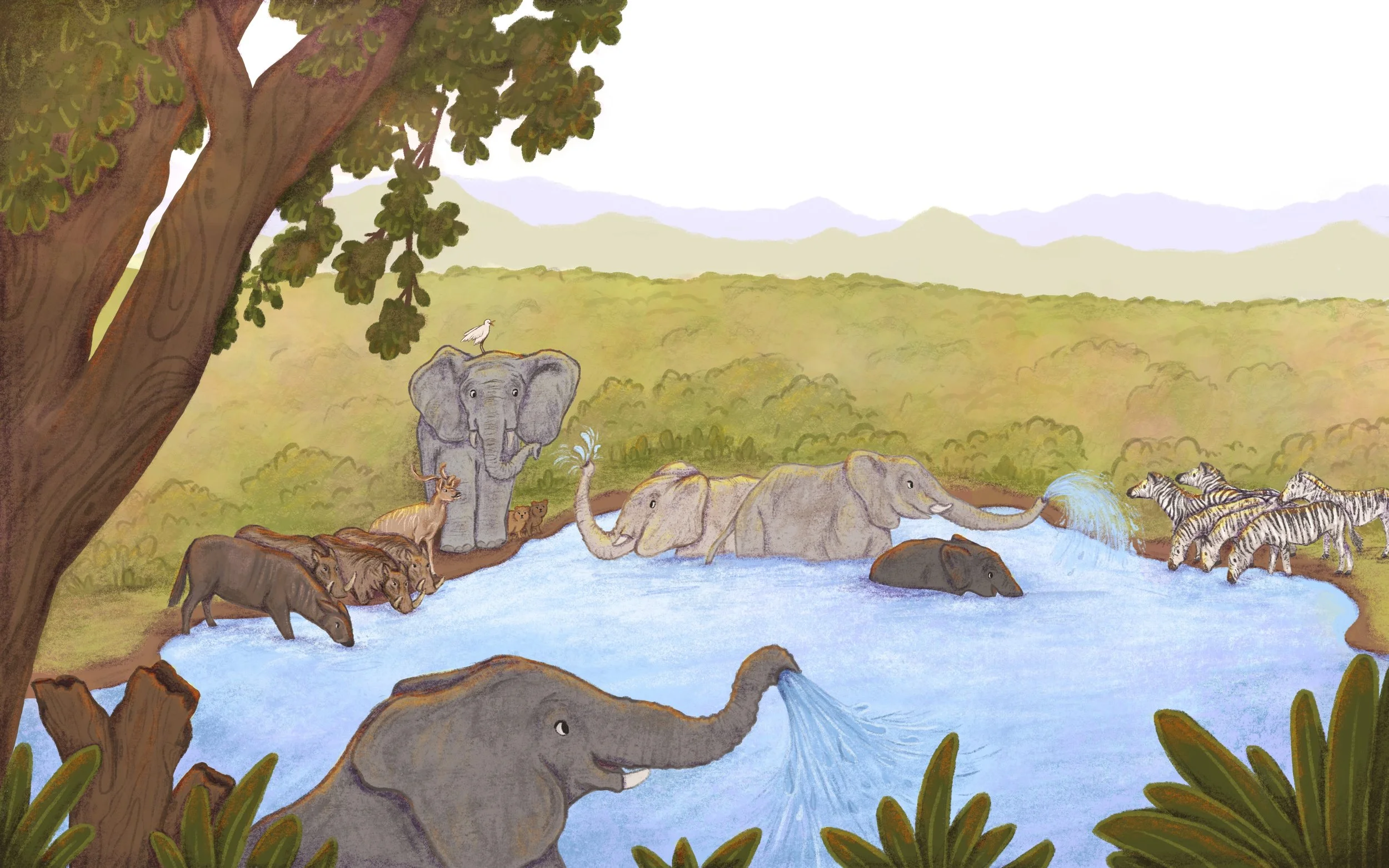 Illustration of a watering hole landscape at the Addo Elephant National Park in South Africa with elephants, kudu buck, wildebeest, warthogs, zebra, dassie / rock hyrax, Cattle Egrets (Bubulcus ibis) or Red-billed Oxpeckers.