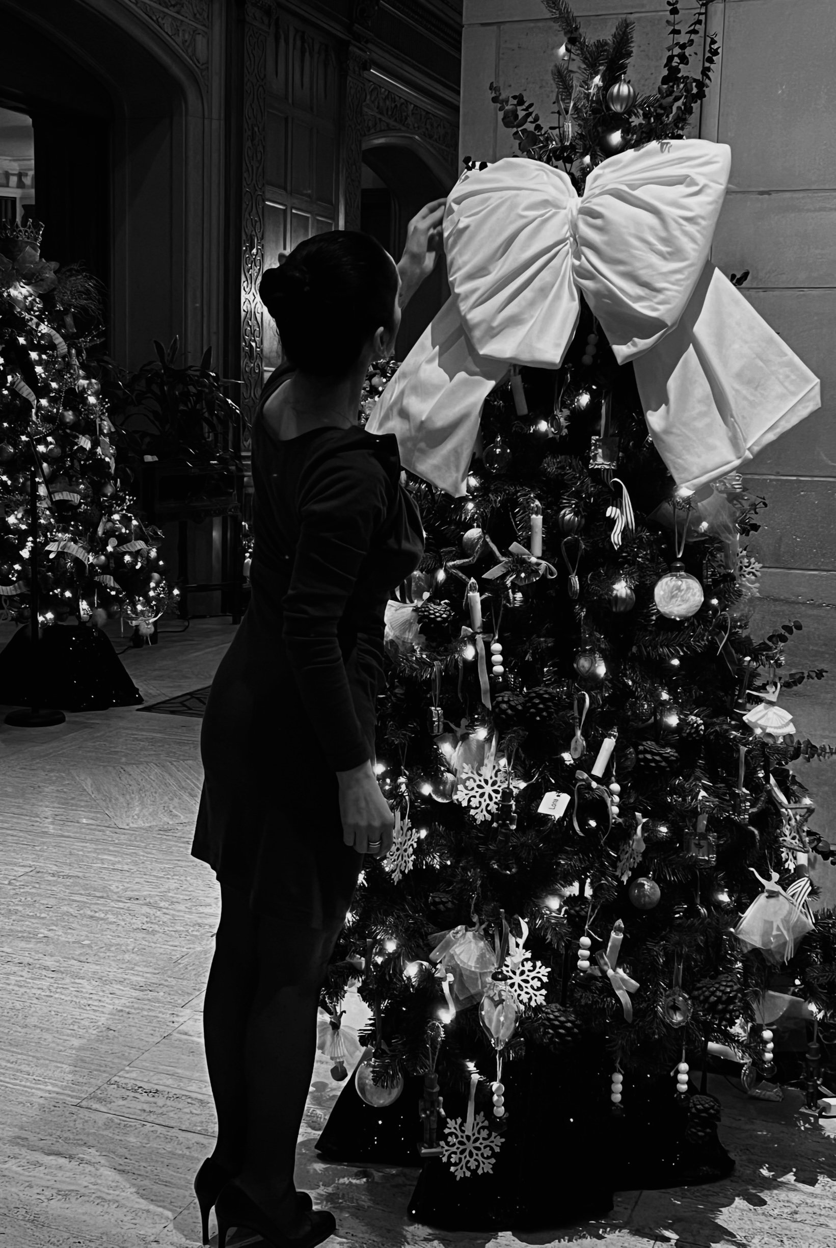 adriana poloz_christmas IMG_9558.jpg