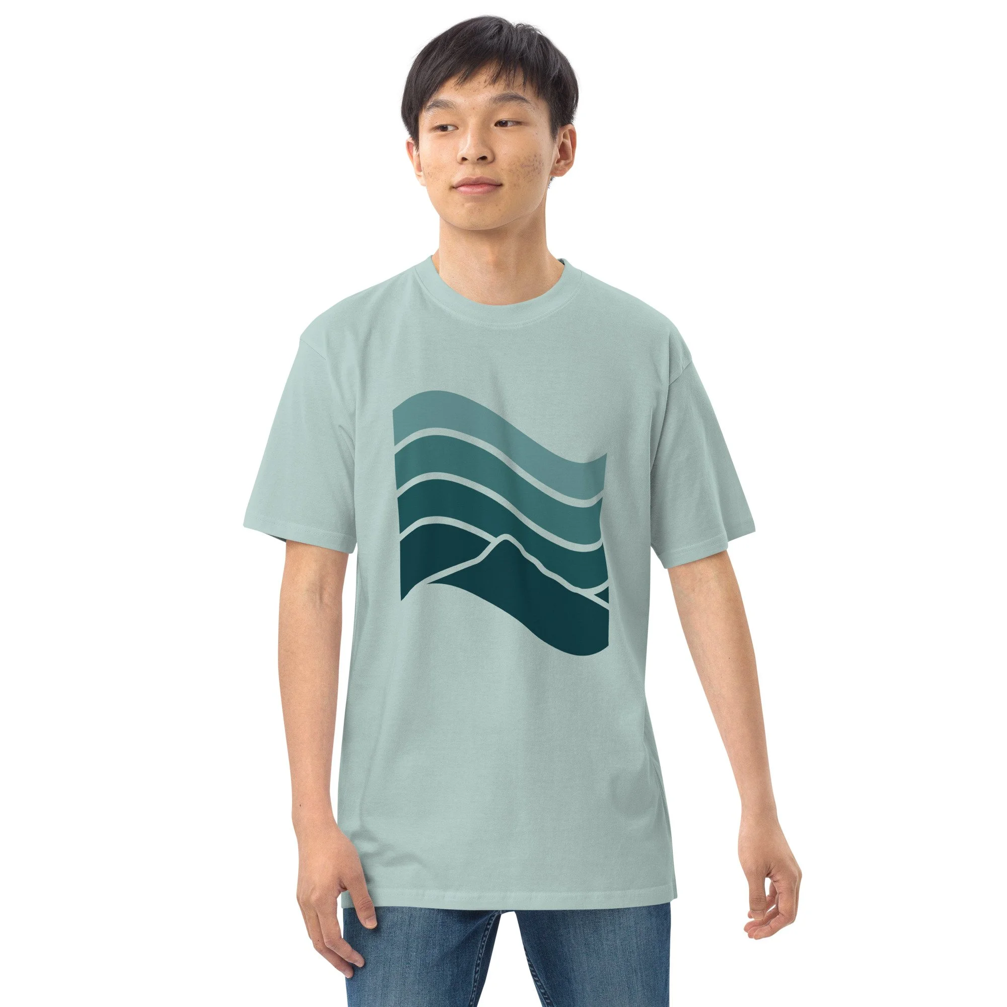 mens-premium-heavyweight-tee-agave-front-2-689669b0c748d.jpg