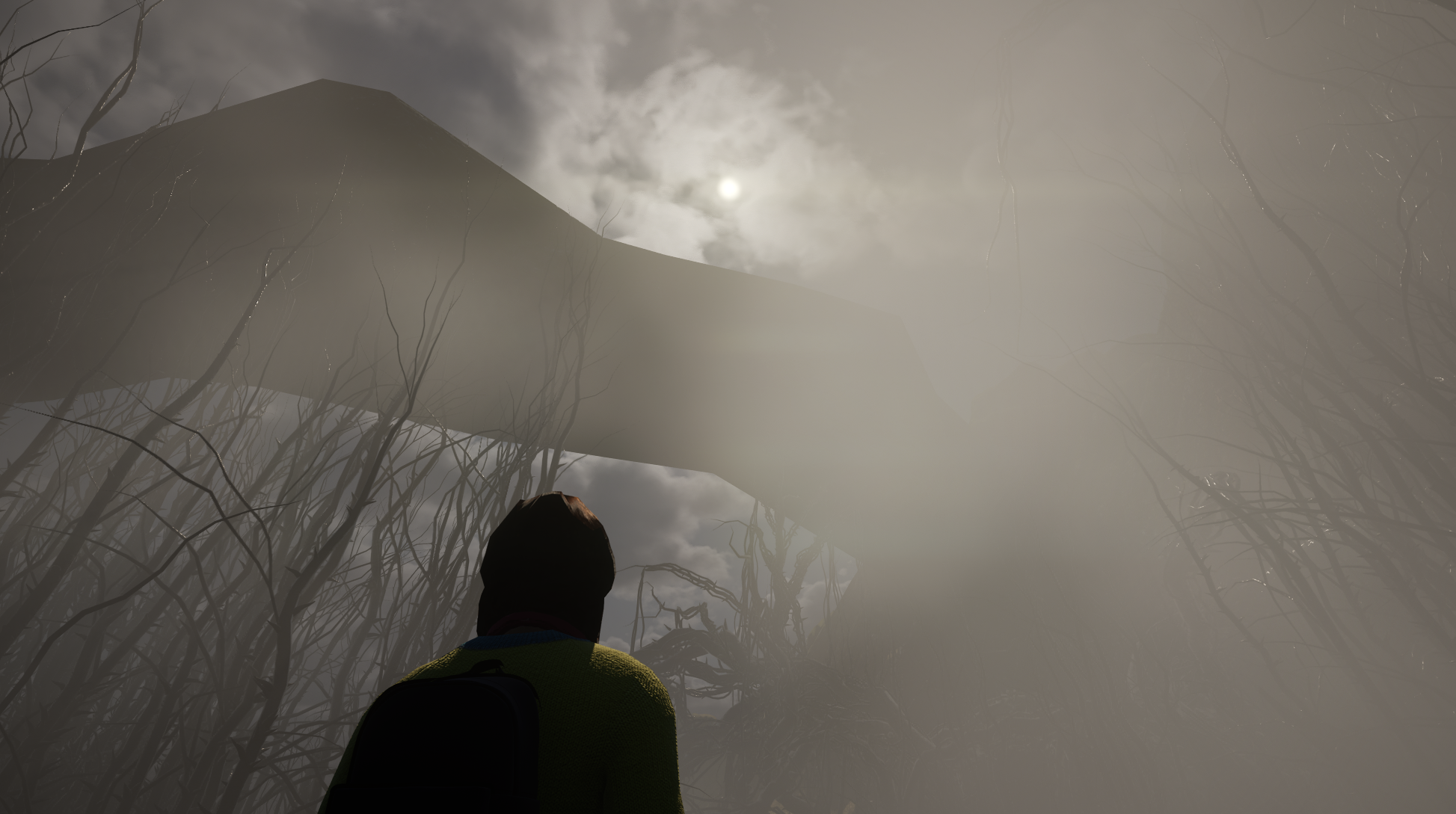 foggy.png
