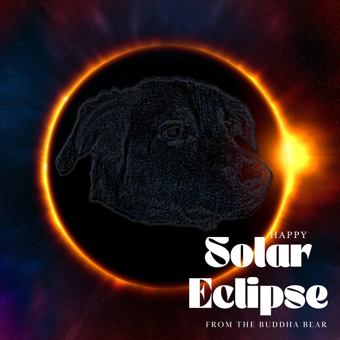 Happy Solar Eclipse from the Buddha Bear.

Today is a special day&hellip;.

There&rsquo;s a beautiful dance between the sun and moon today, with energy that heightens what&rsquo;s not for us. It&rsquo;s typically rooted in fear and attachment and hol