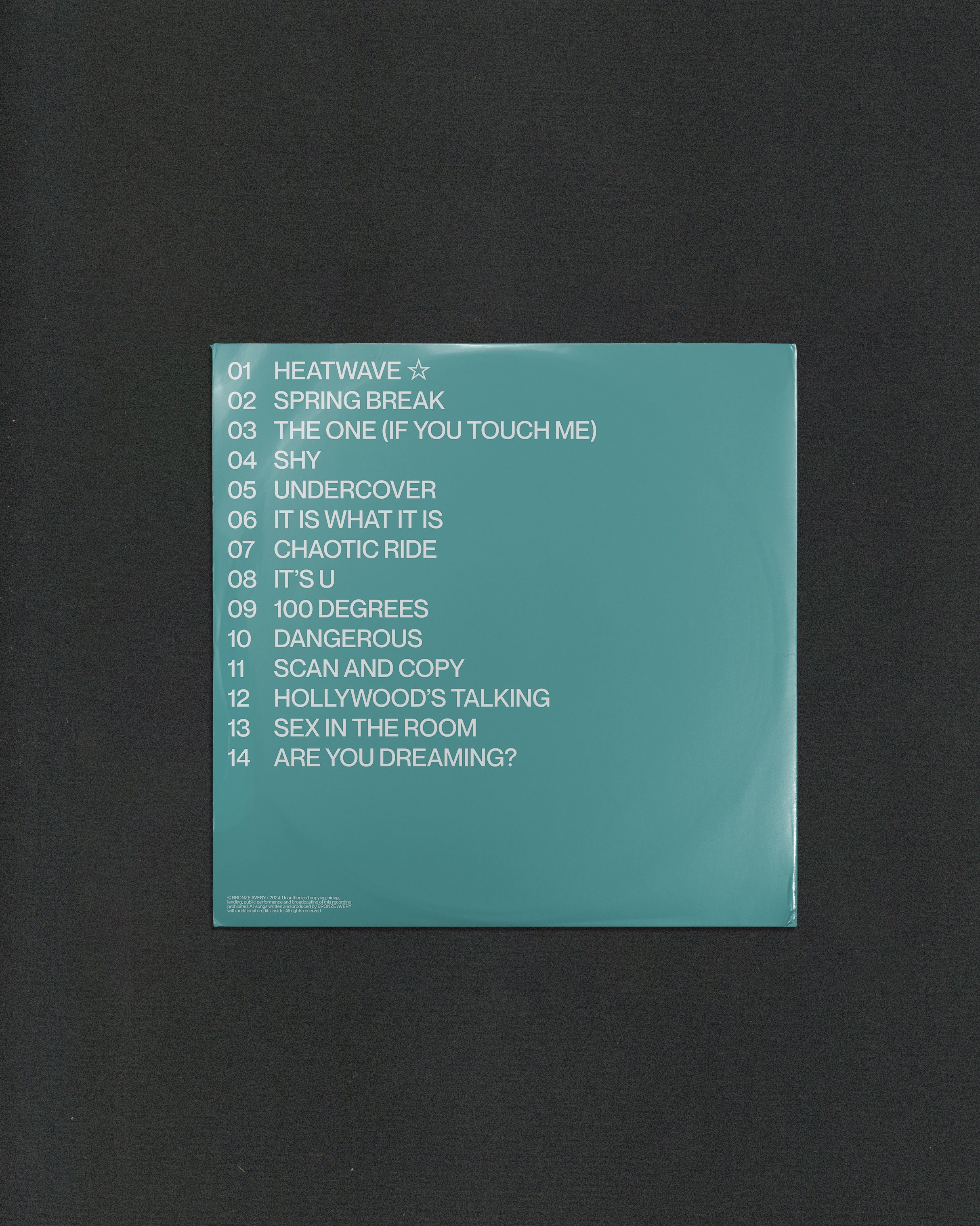 HEATWAVE_vinyl_3.jpeg