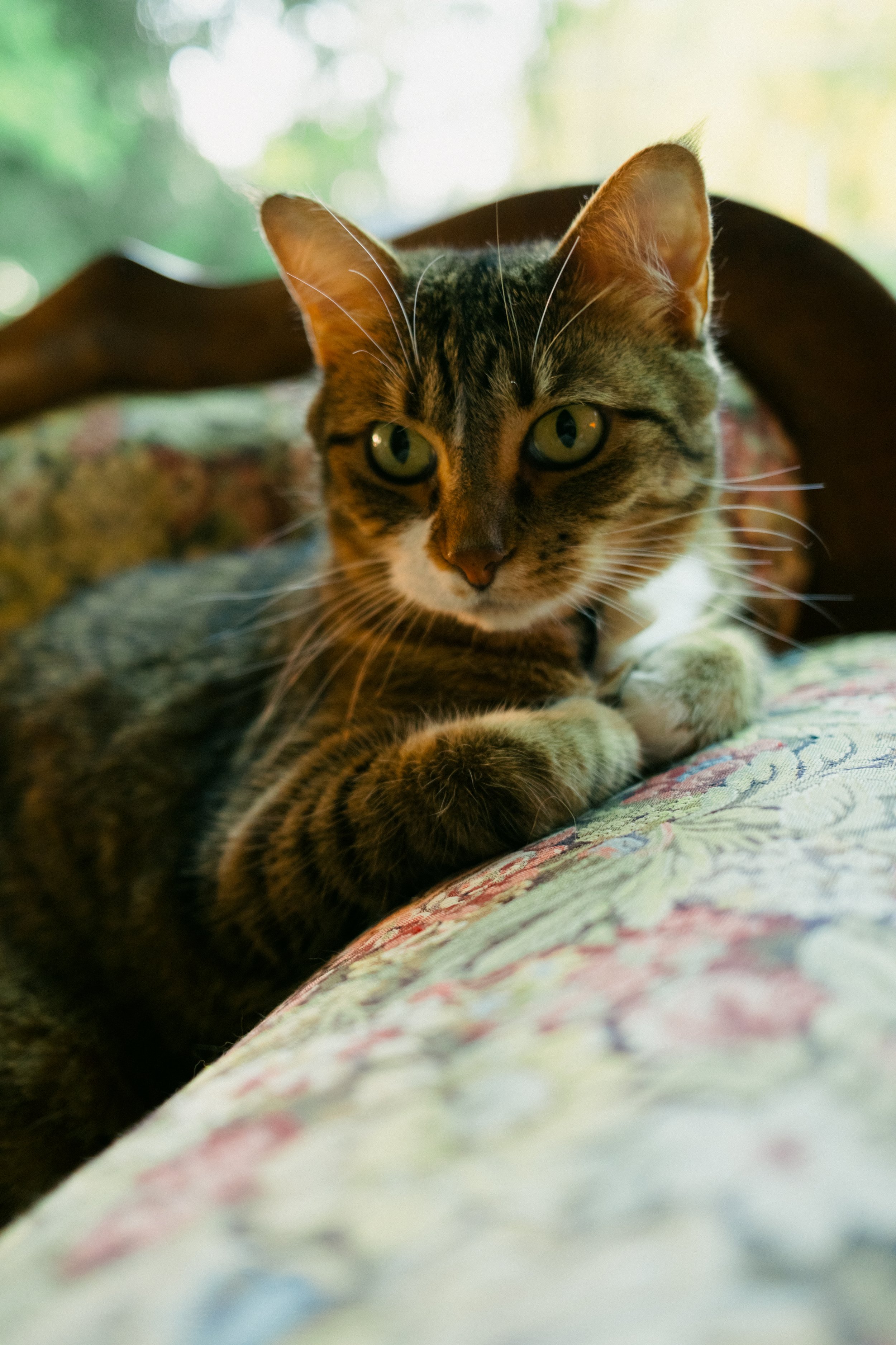 DSCF1597.jpg
