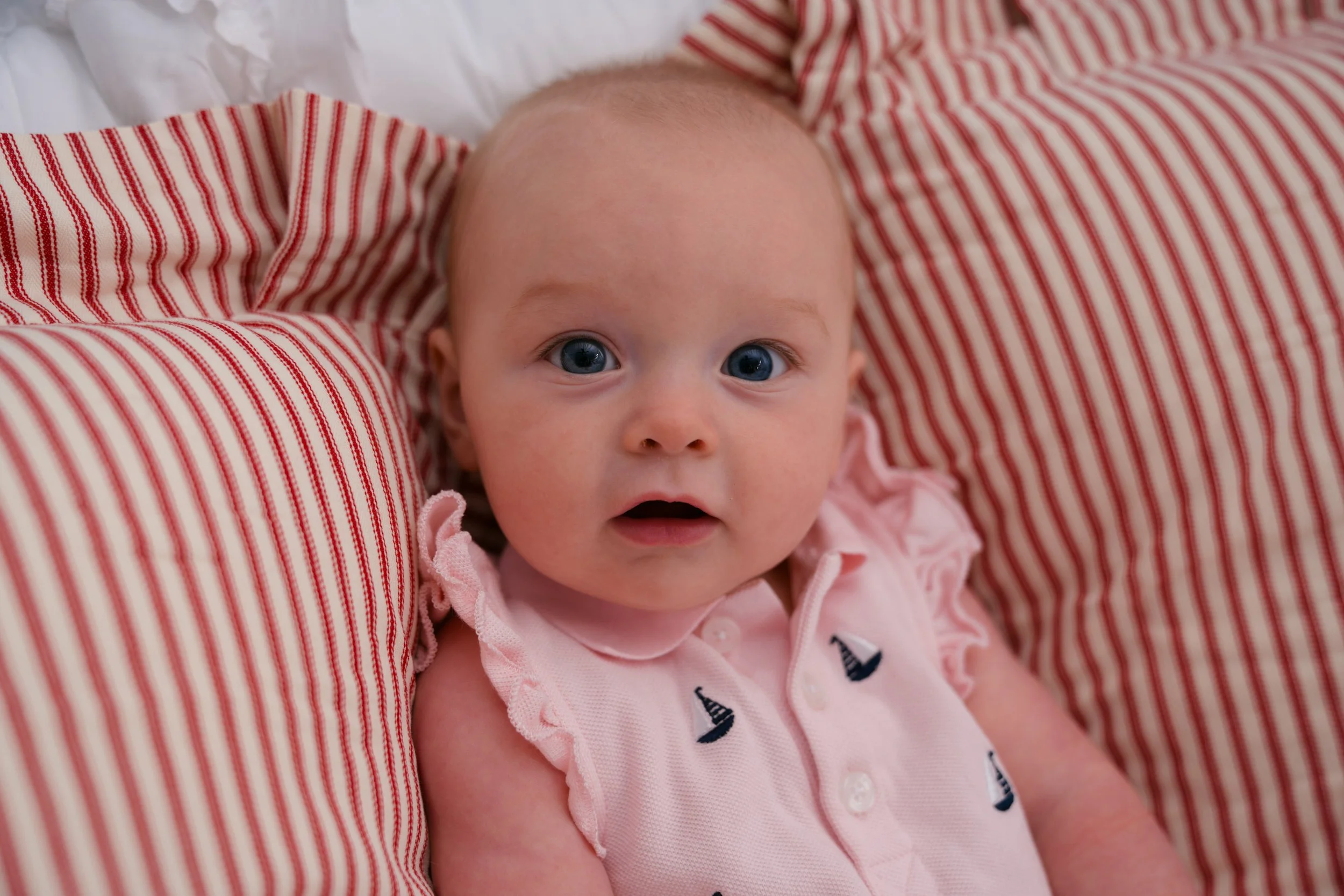 DSC07097.jpg