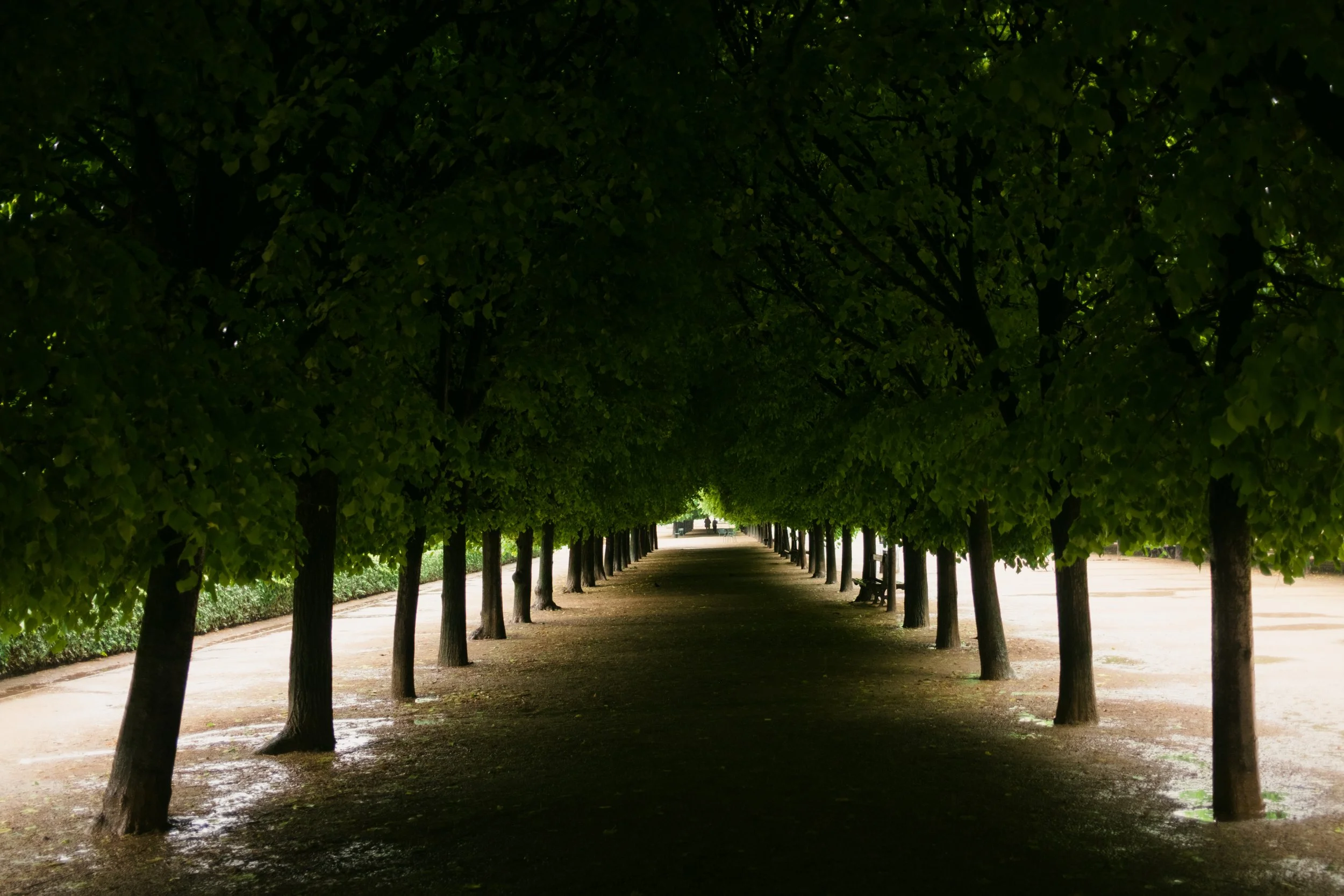 DSCF9712.jpg