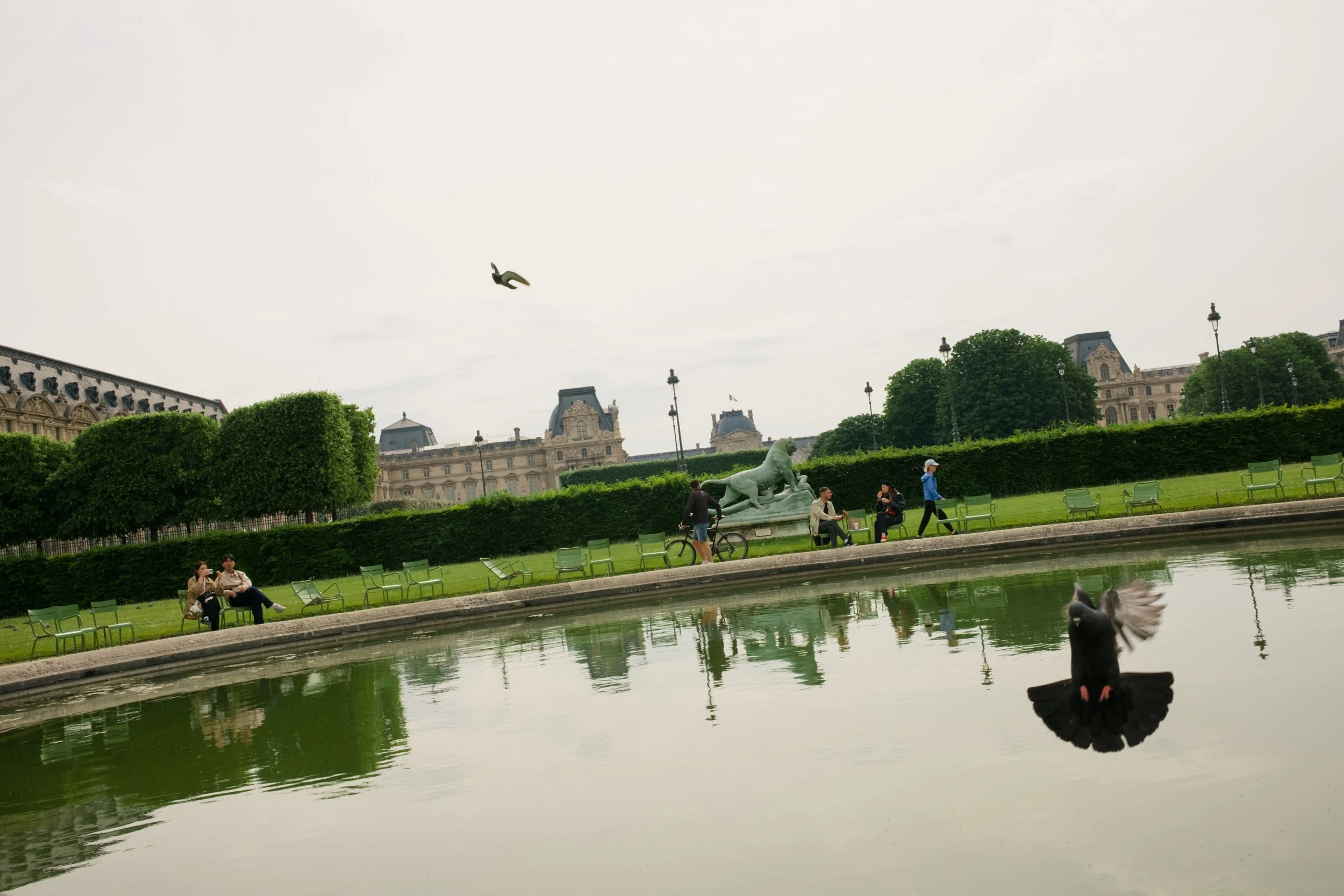 DSCF9452.jpg