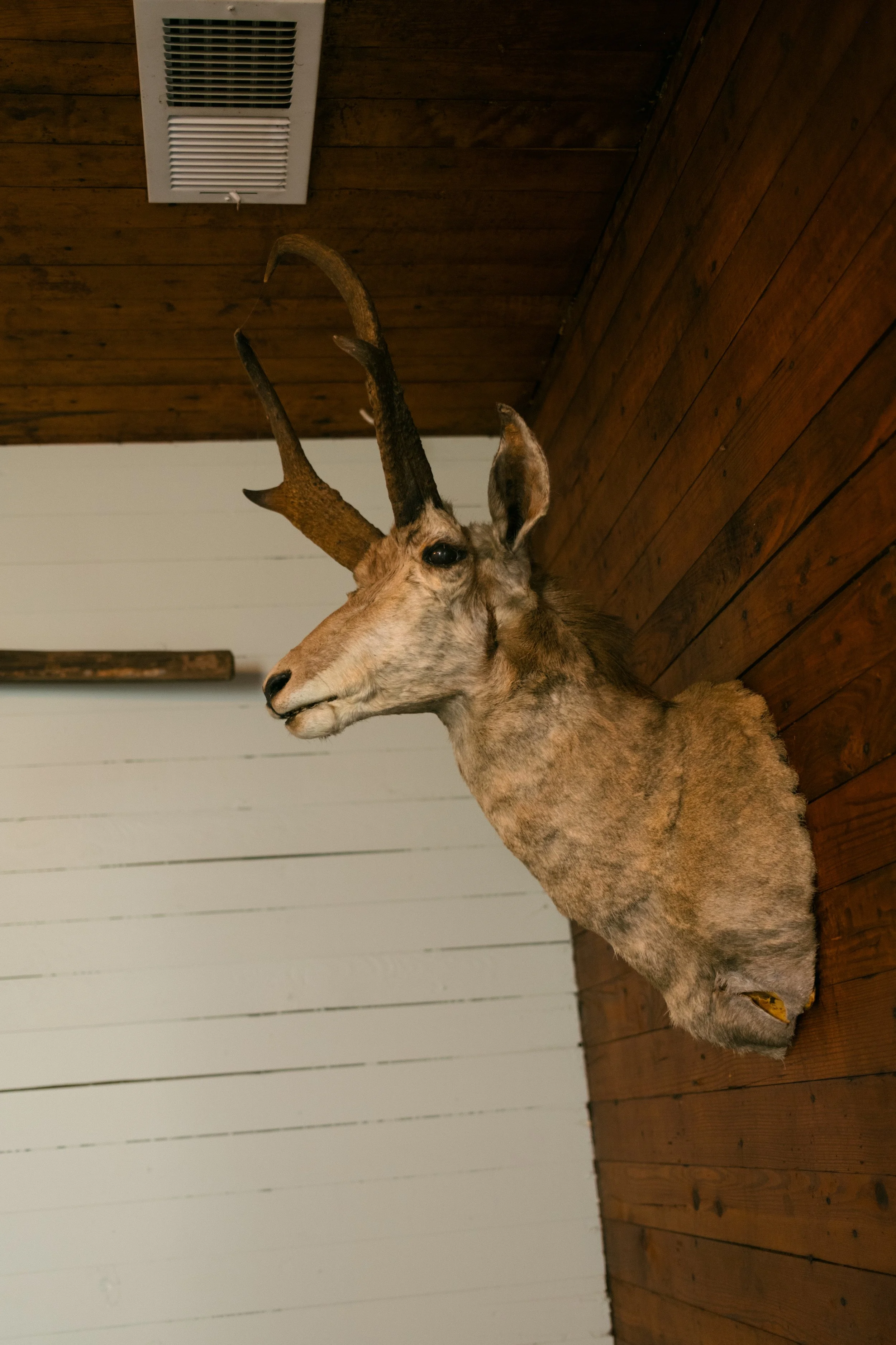 DSCF1747.jpg