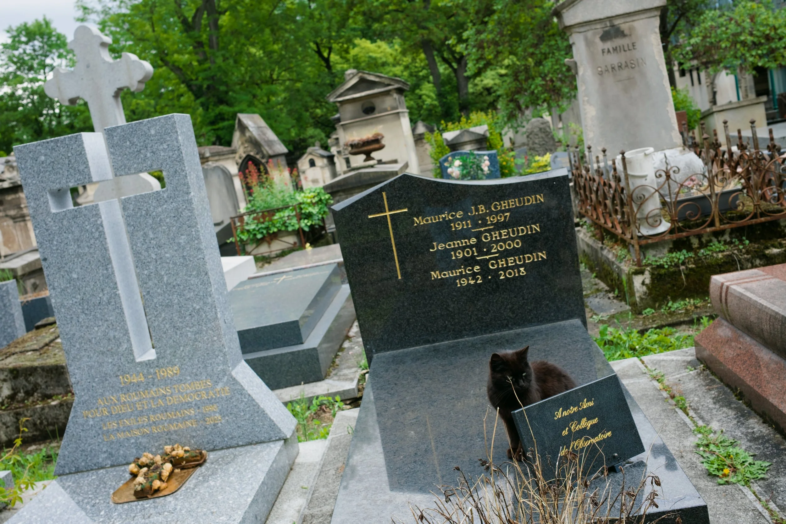 DSCF0411.jpg