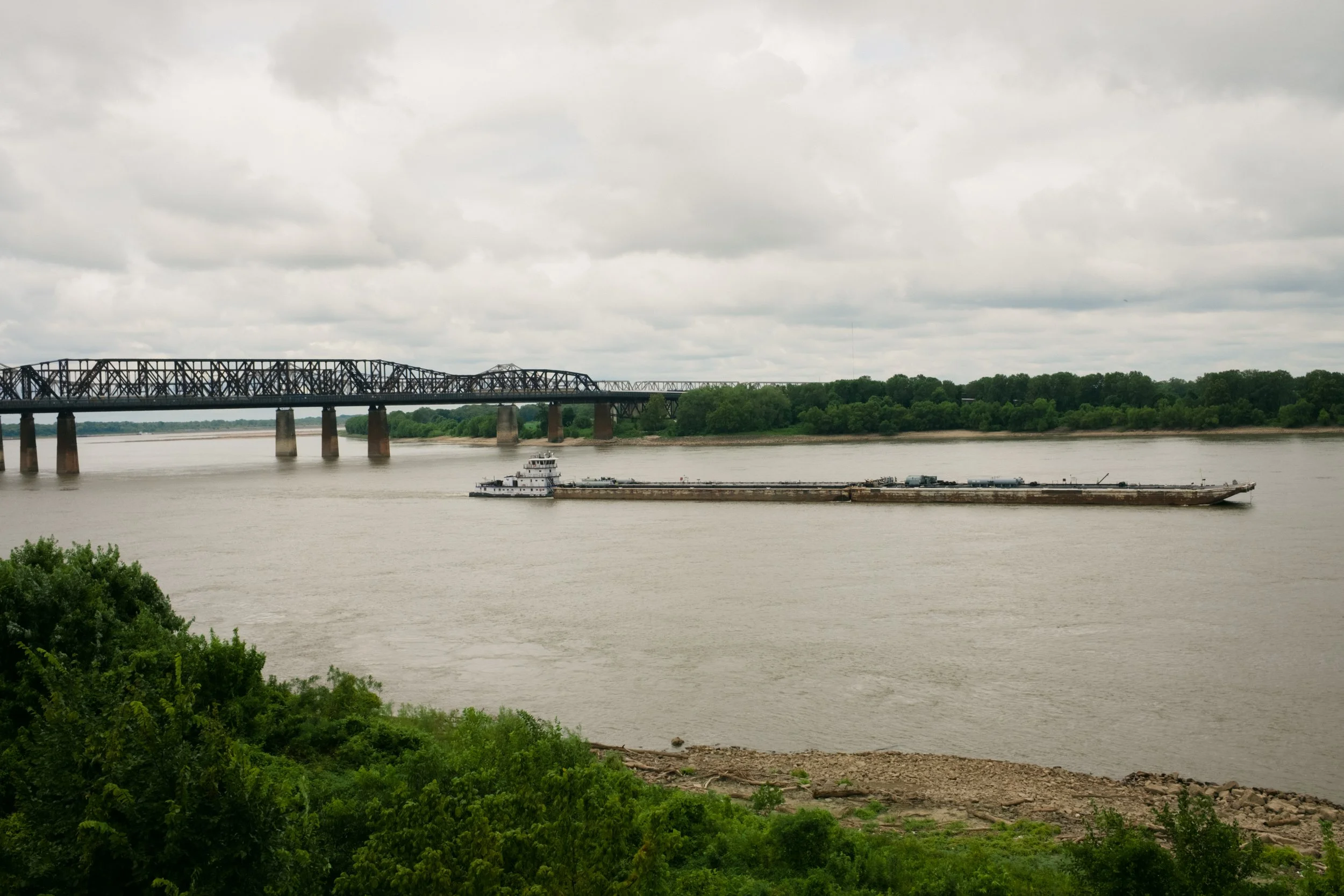 DSCF1531.jpg