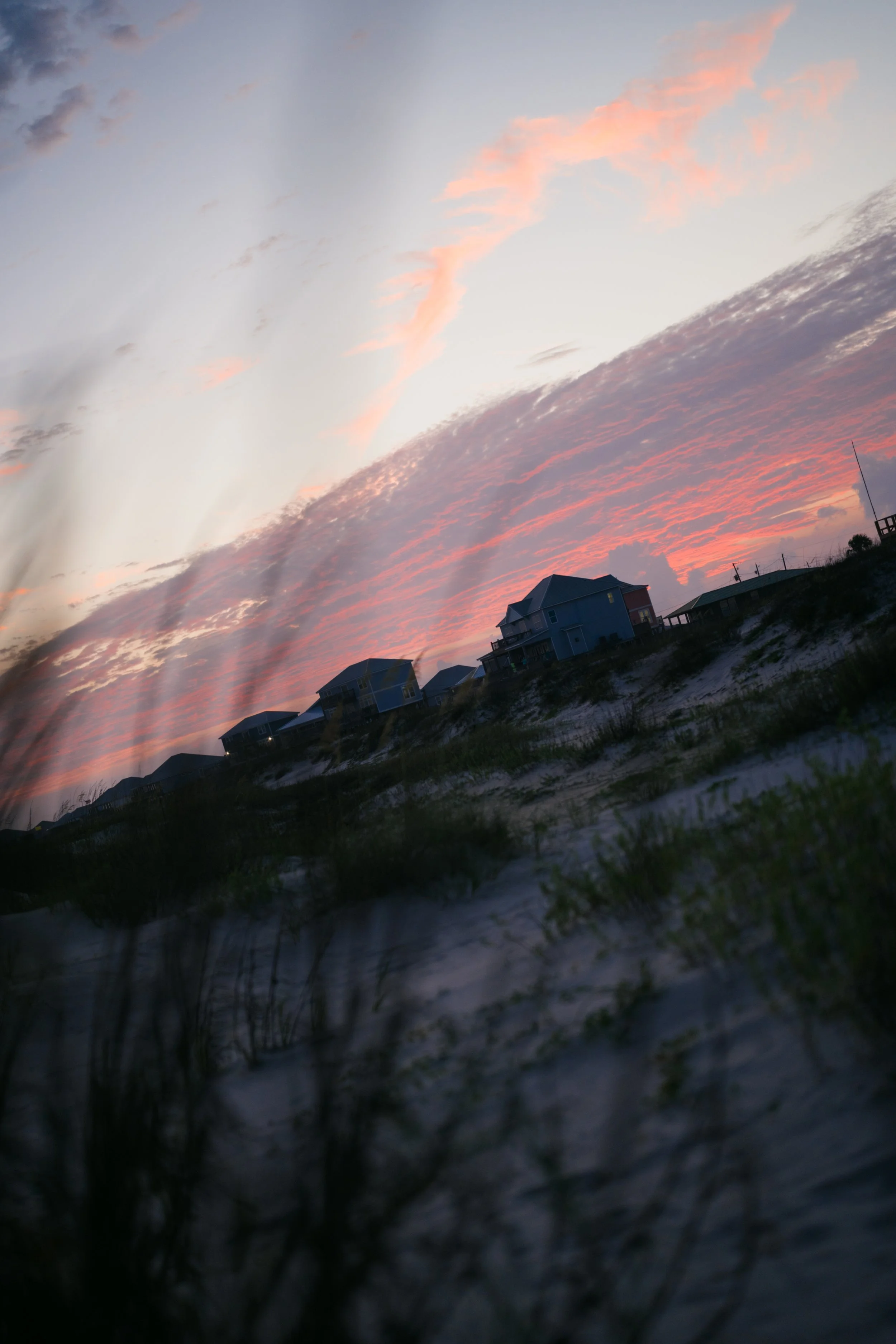 DSC09138.jpg