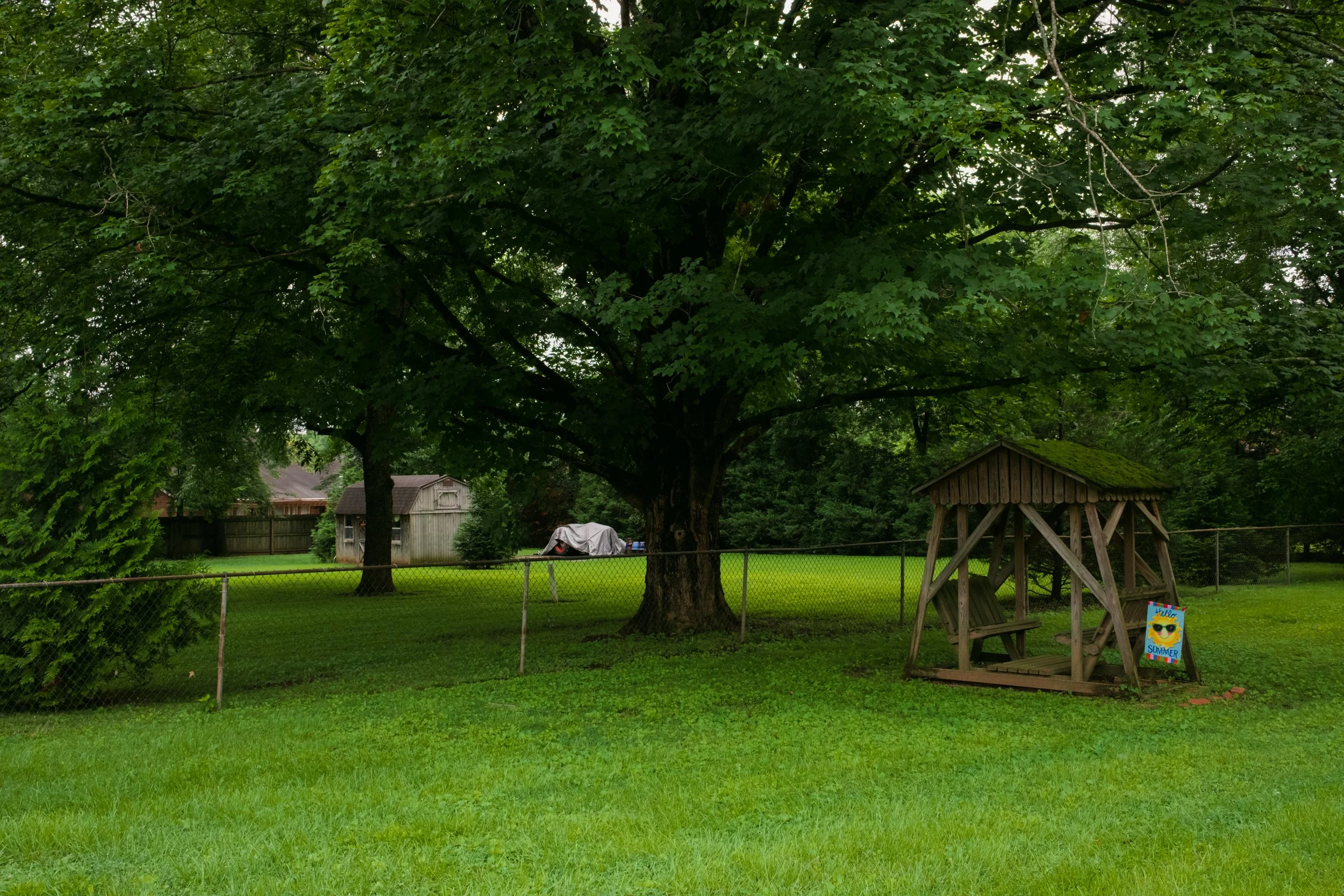 DSCF1355.jpg