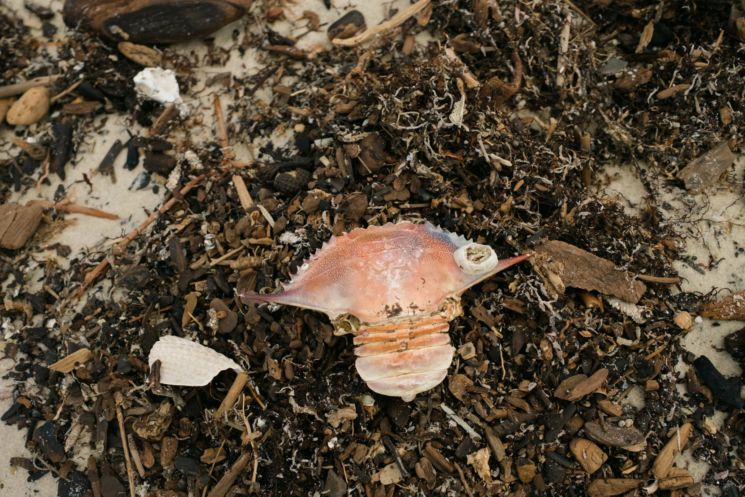 DSCF1130.jpg