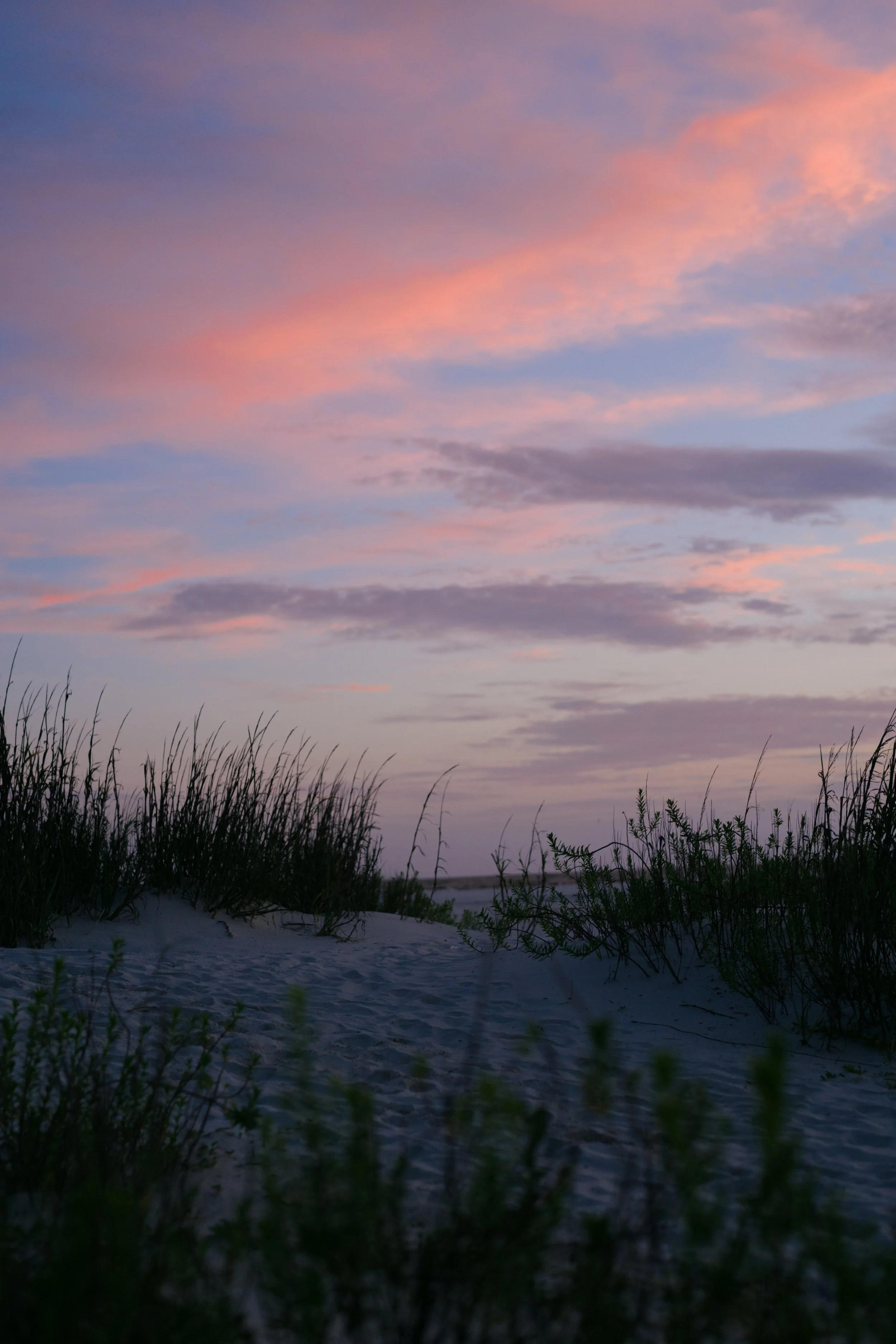 DSC09127.jpg