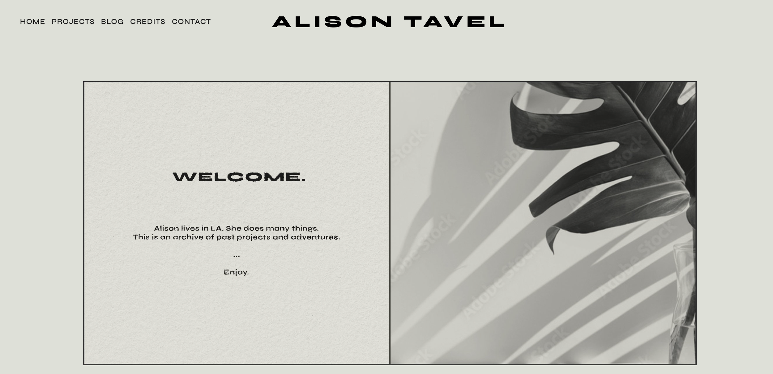 ALISON TAVEL.png