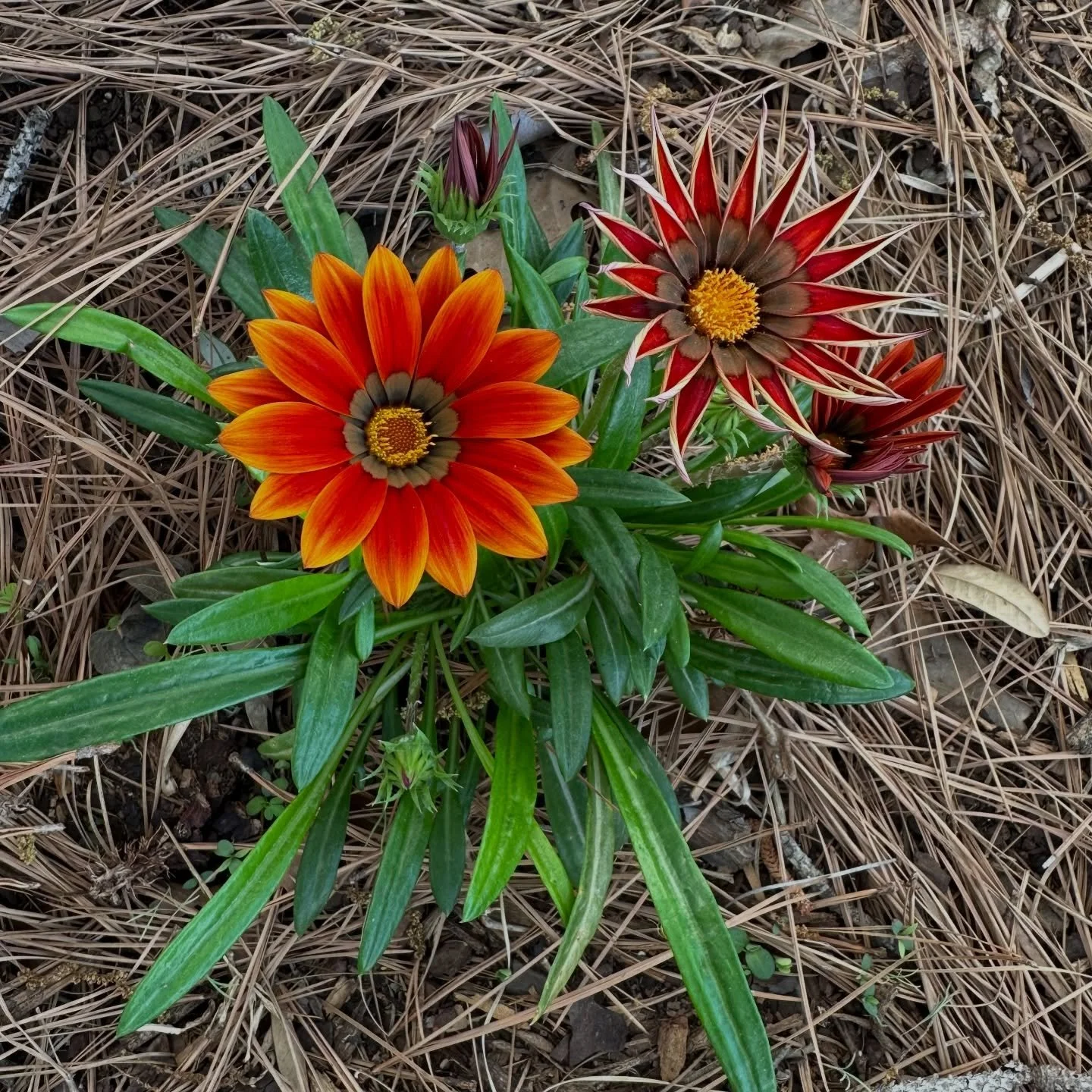 Small, good things happening.