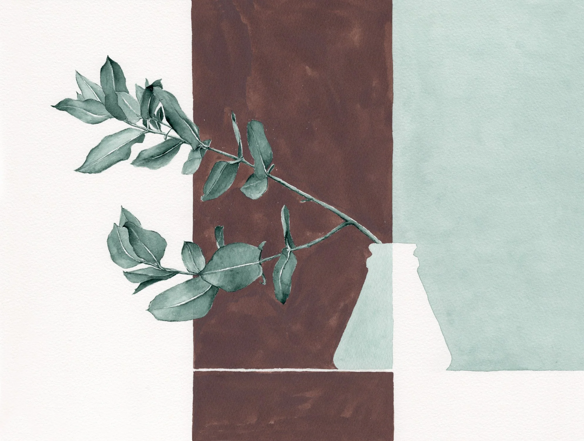 Eucalyptus-002.jpg