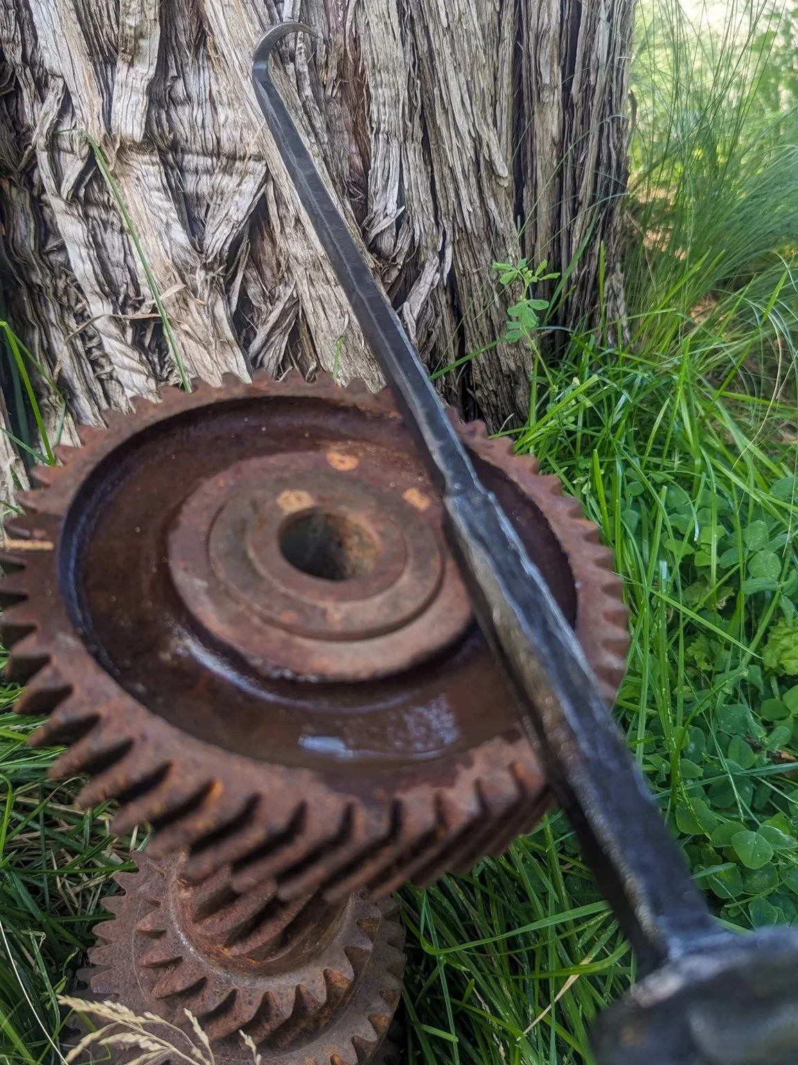 Timber handle steak turner