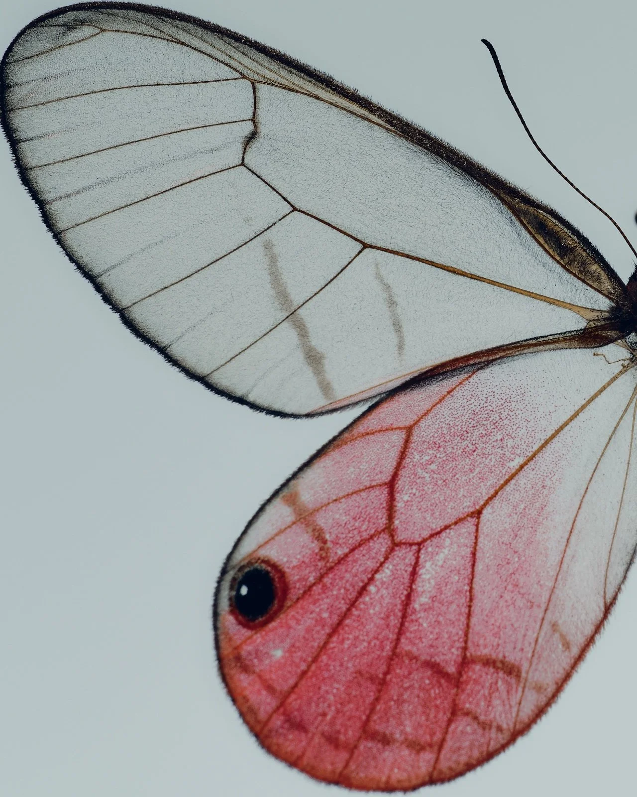 9/27/2026  | The Practice of Alignment