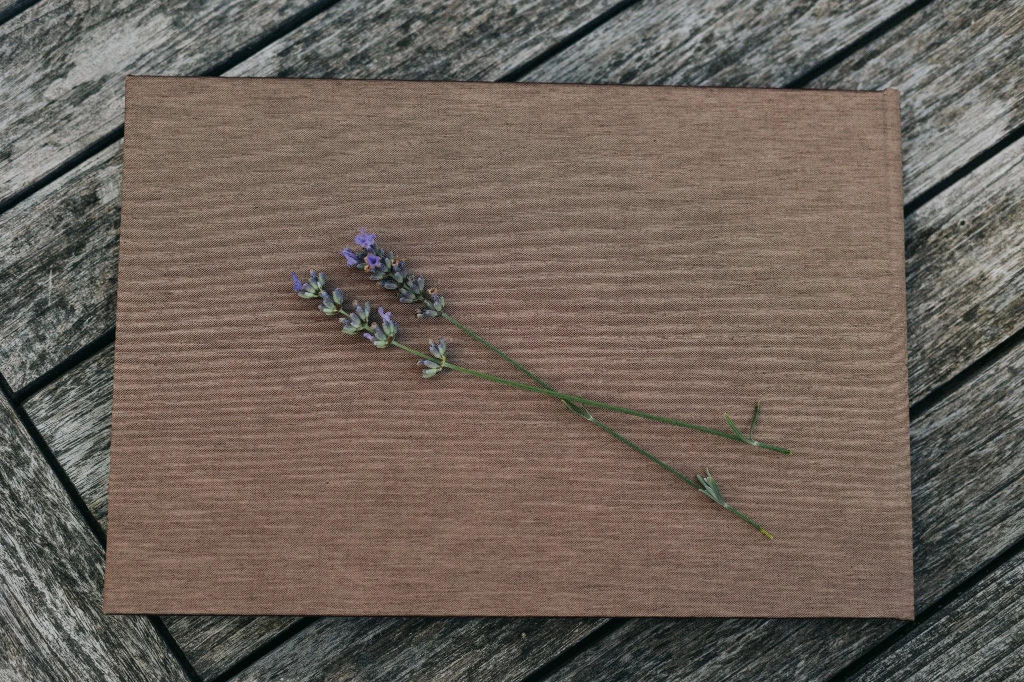 album (8 von 13).jpg