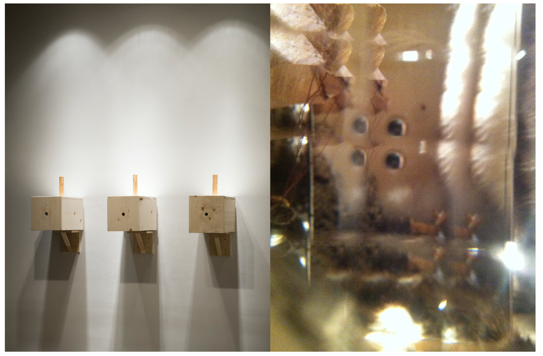 Screenshot 2025-10-15 at 4.01.19 PM.png