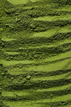 Matcha Green Interior Design Ideas - The Cool_.jpeg