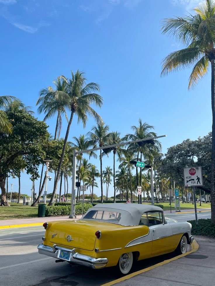 miami.jpeg