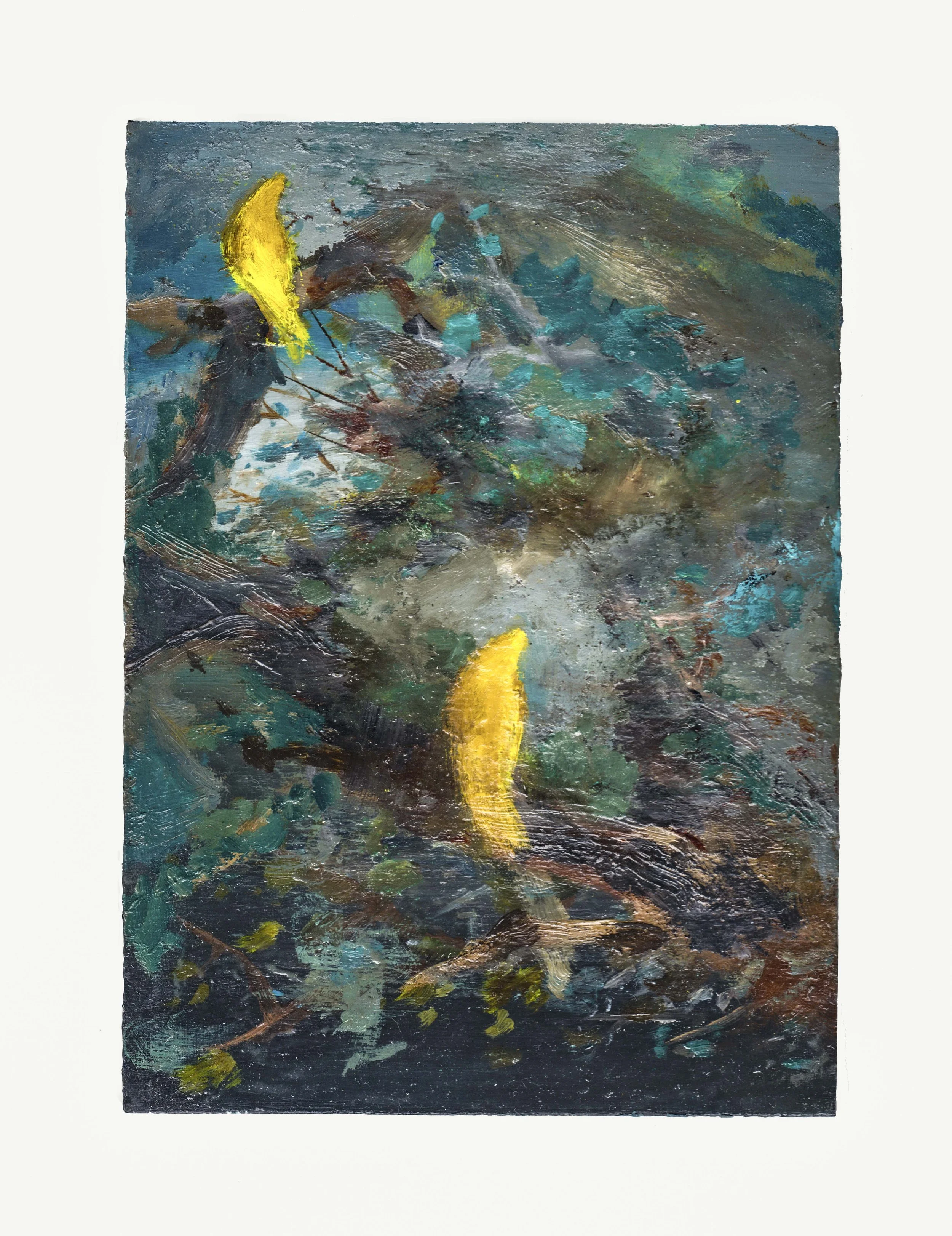 scan  56_1.JPG