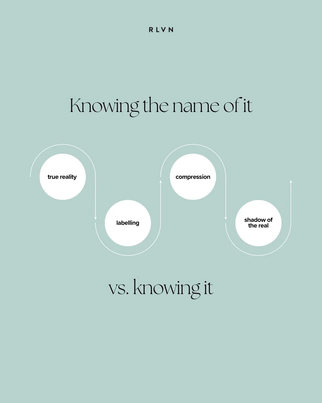 Every label we give the world is a boundary drawn around something boundless.

What if the words we use to know reality are the very thing standing between us and it?

Beneath every word lies pure experience &ndash; awareness untouched by the stories