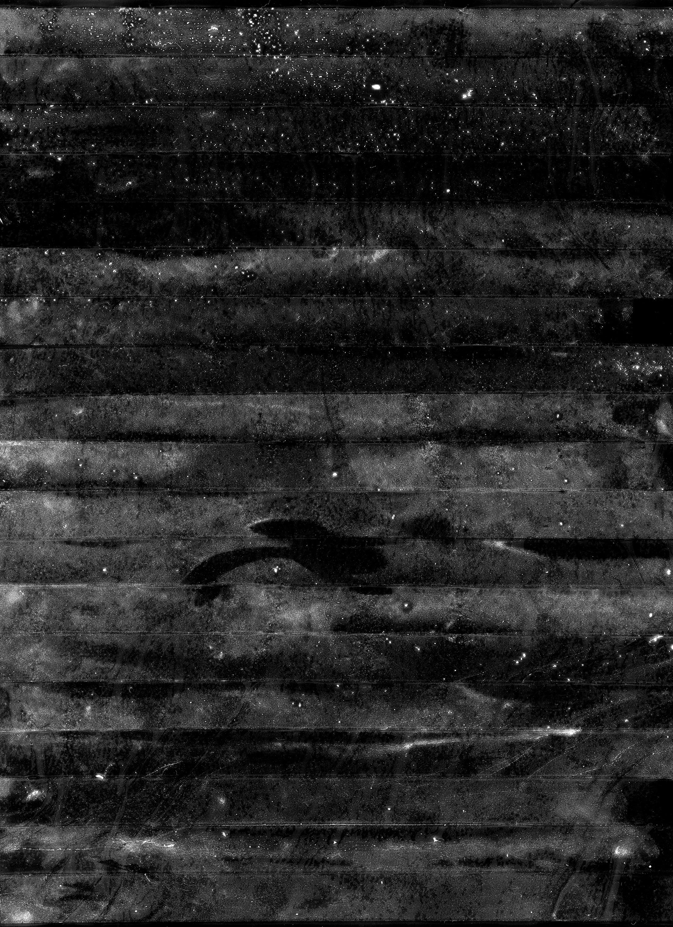 Microstratigraphiées