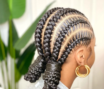 6 Straight Back Braids 2.png