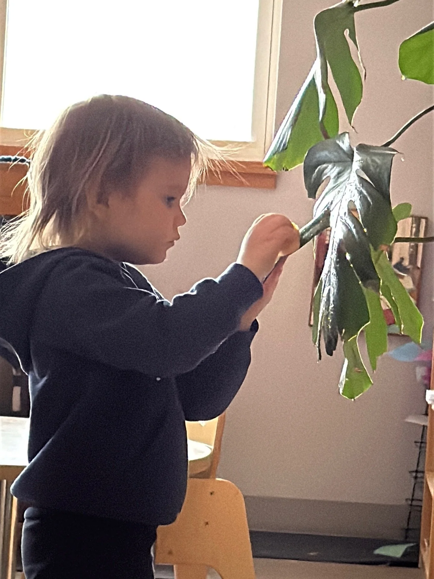 Curious about what makes a Montessori education so powerful? Come see it in action.

Join us at Daycroft School on Sunday, April 19 from 11 AM&ndash;1 PM to tour our classrooms, meet our teachers, and explore a learning environment where independence