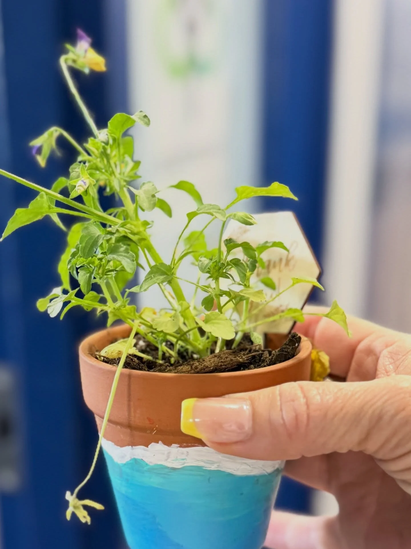 Today we celebrate Earth Day the Montessori way 🌎

In a Montessori classroom, caring for the Earth isn&rsquo;t a one-day lesson&mdash;it&rsquo;s part of everyday life. From tending plants and observing nature to learning respect for all living thing
