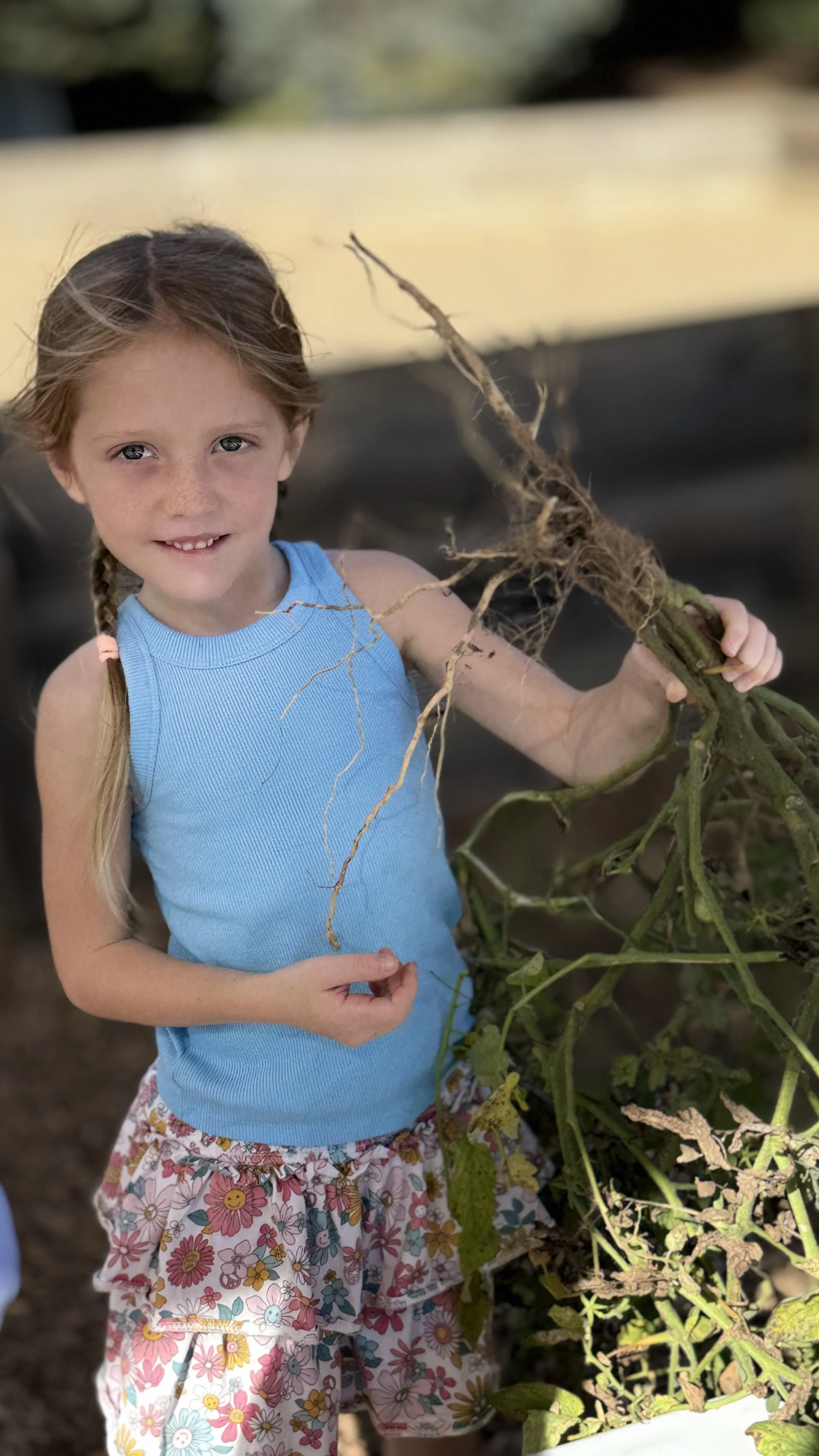 Montessori lower elementary student science nature outdoors