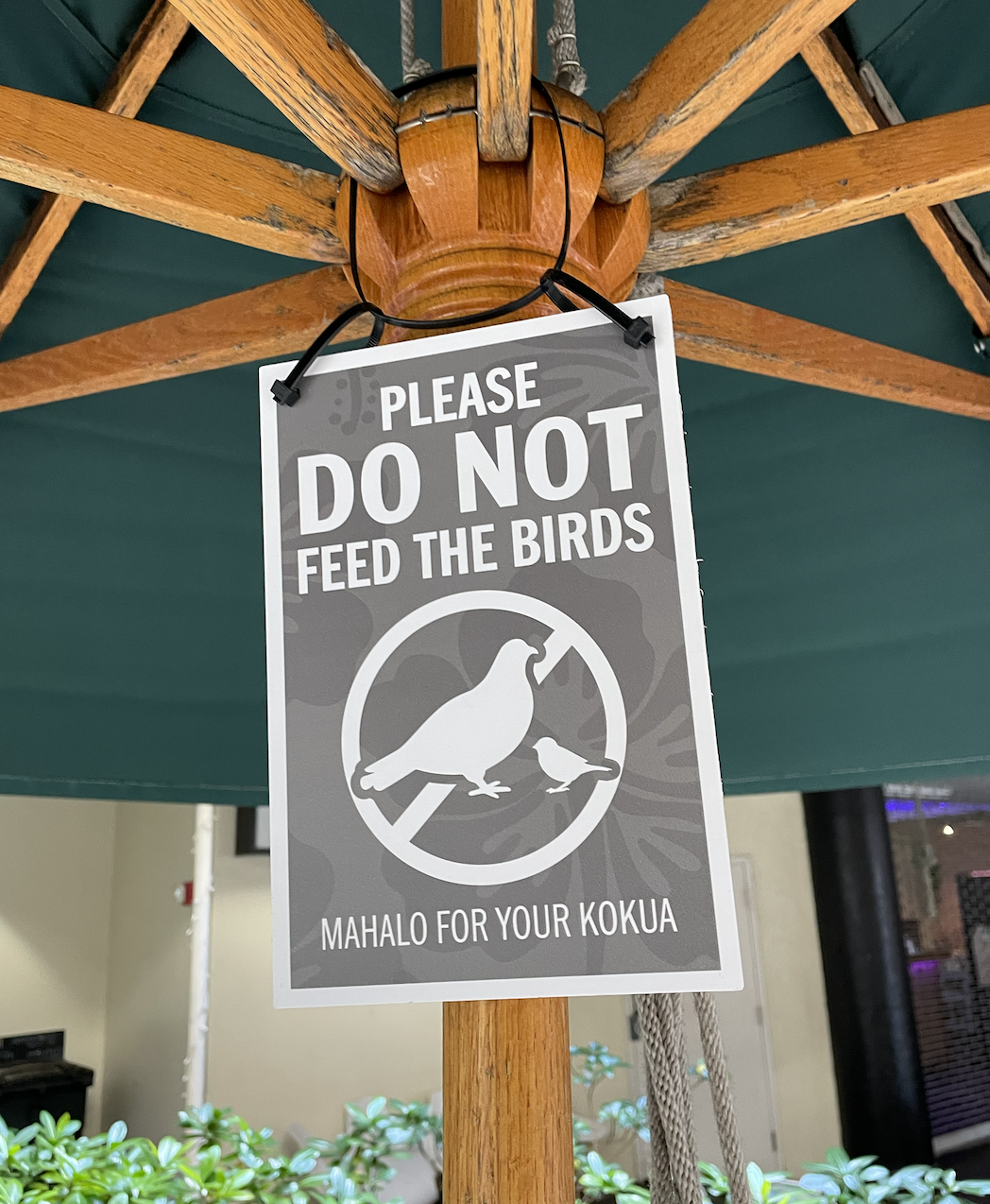 Donotfeedbirds_22:01.png