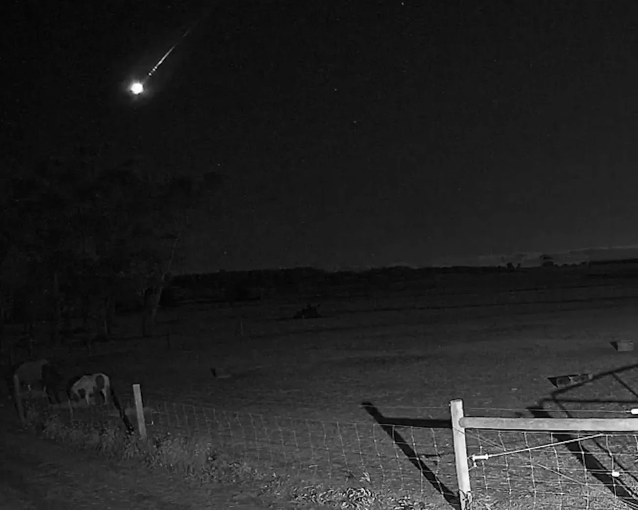 ‘Scientifically special’ Meteorite falls between Ballarat and Bendigo