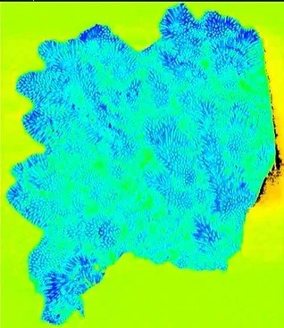 New scanning technique unlocks Earth’s hidden climate history