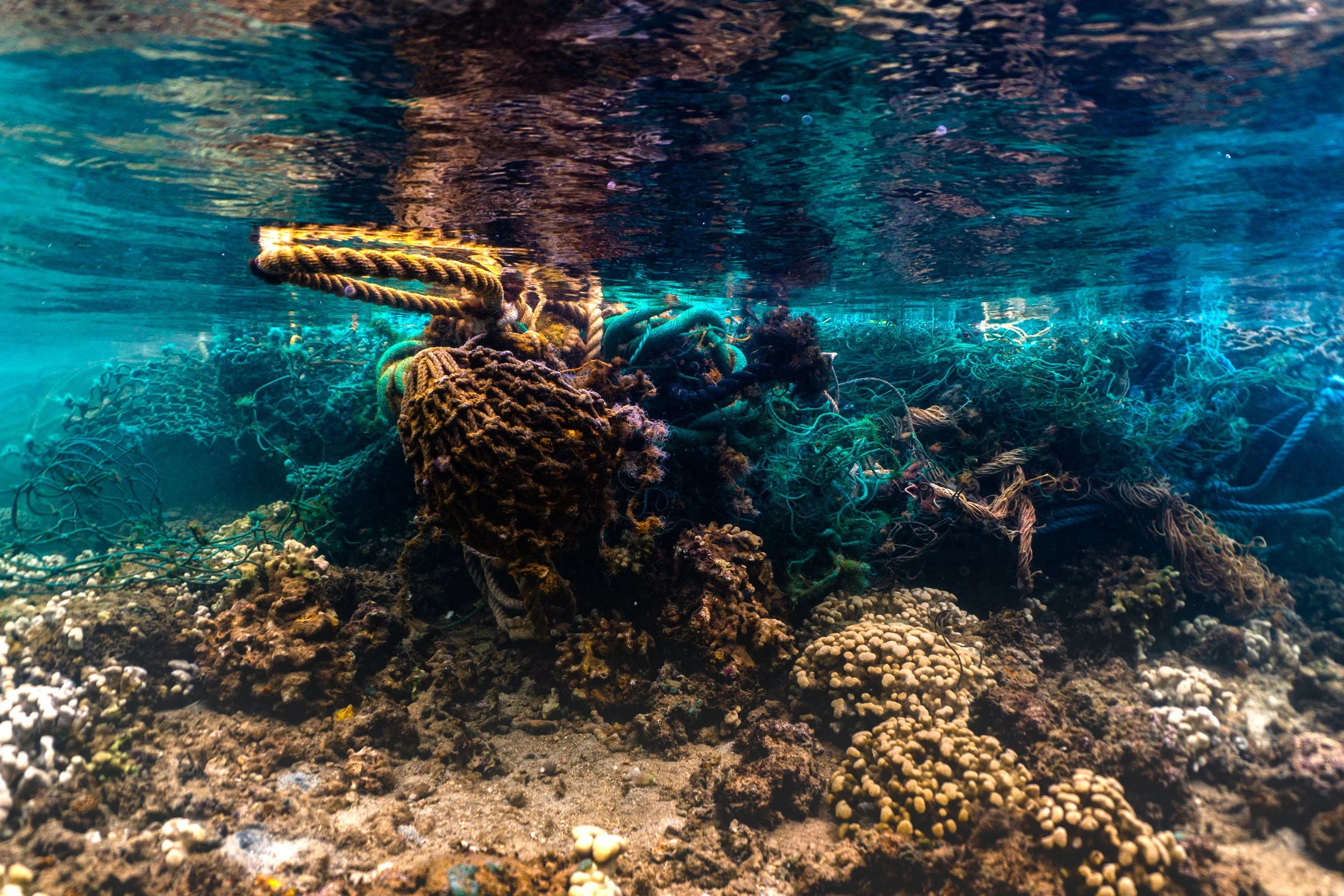 Ghost gear busters: How a collaborative ‘Bounty’ project removed 84,000kg of plastic from the ocean