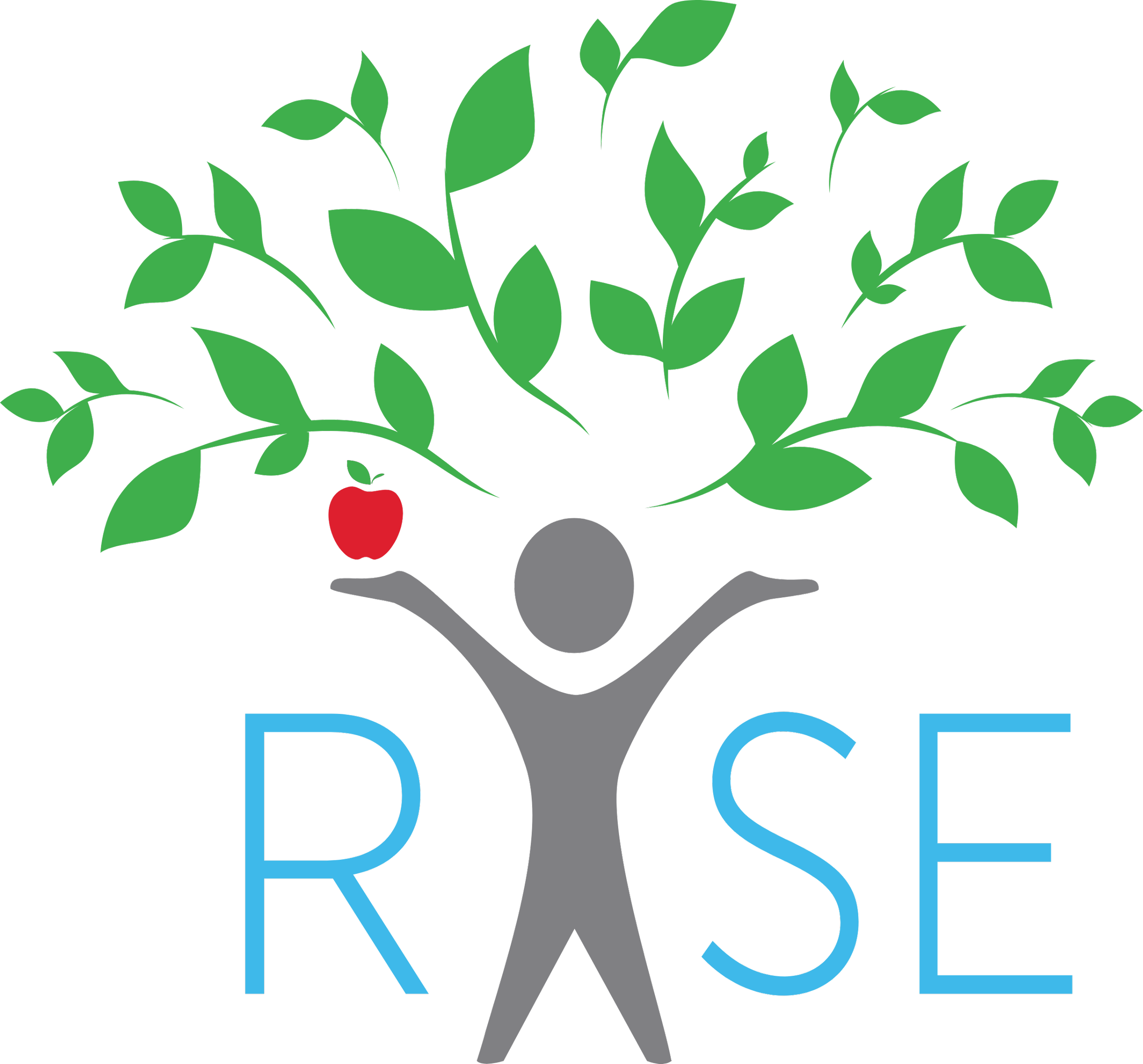 rise-reaching-and-inspiring-success-through-education