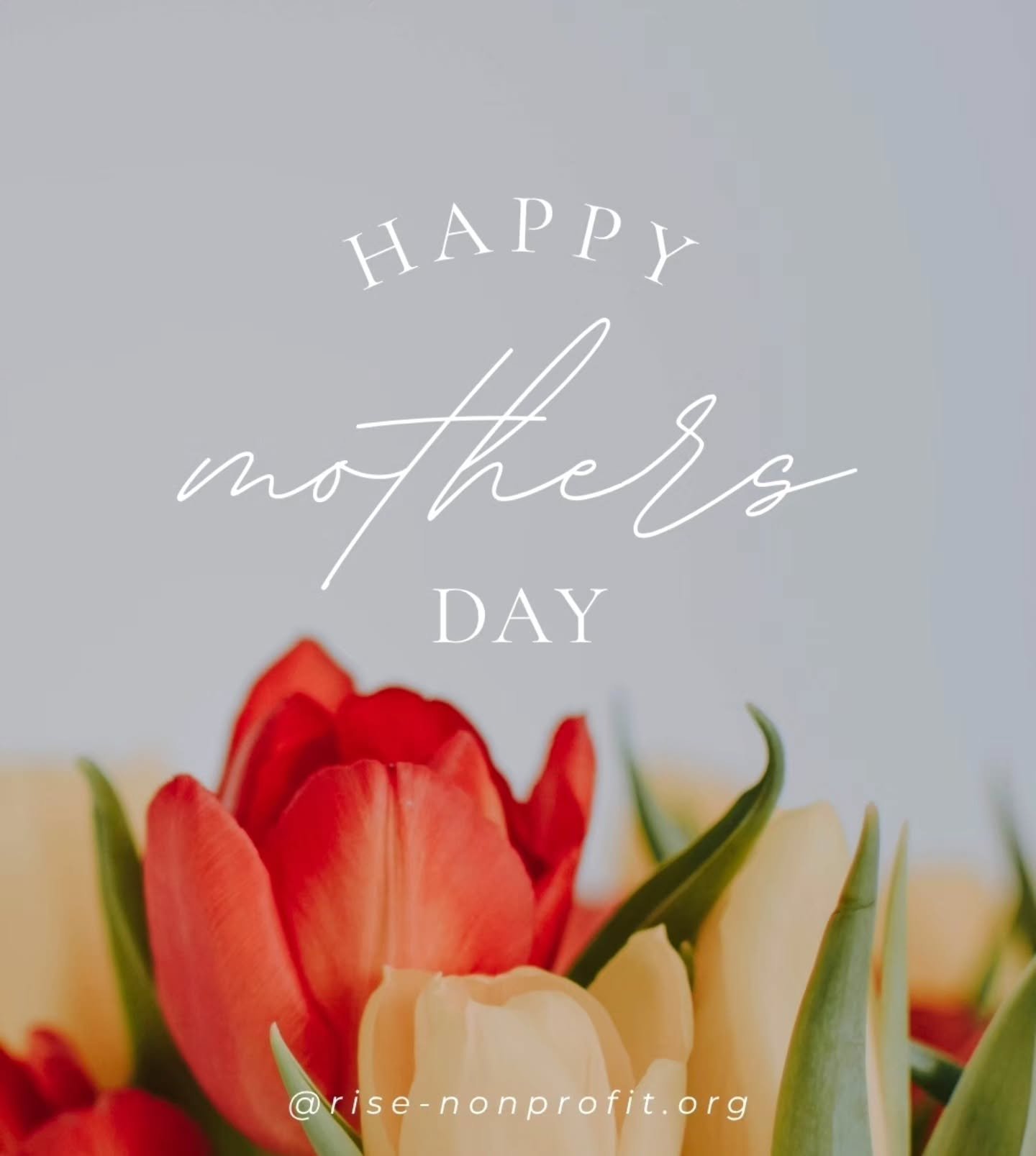 To all the extraordinary mothers and grandmothers, we offer our sincerest appreciation and wish you a wonderful Mother's Day, celebrating your tireless efforts all year round❣️.

A todas las madres y abuelas extraordinarias, les ofrecemos nuestro m&a