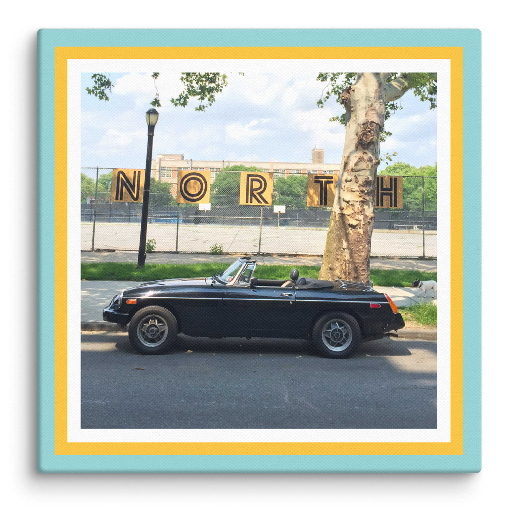1979 MGB Roadster - Canvas Print