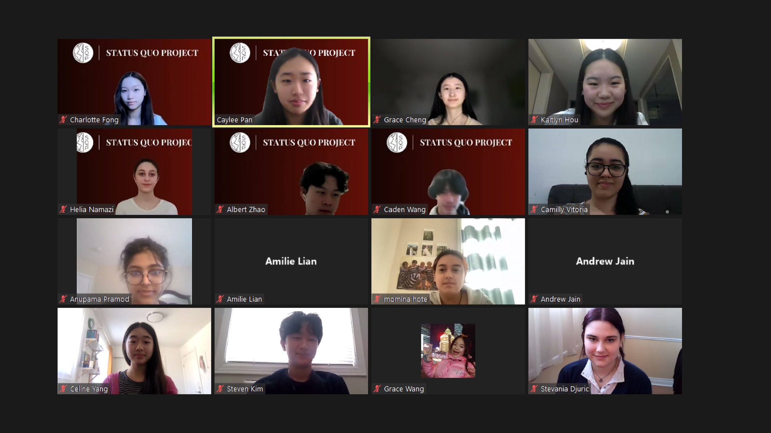 A Zoom video conference with 16 participants, mostly young students, some with virtual backgrounds displaying 'STATUS QUO PROJECT,' and others in various home settings.