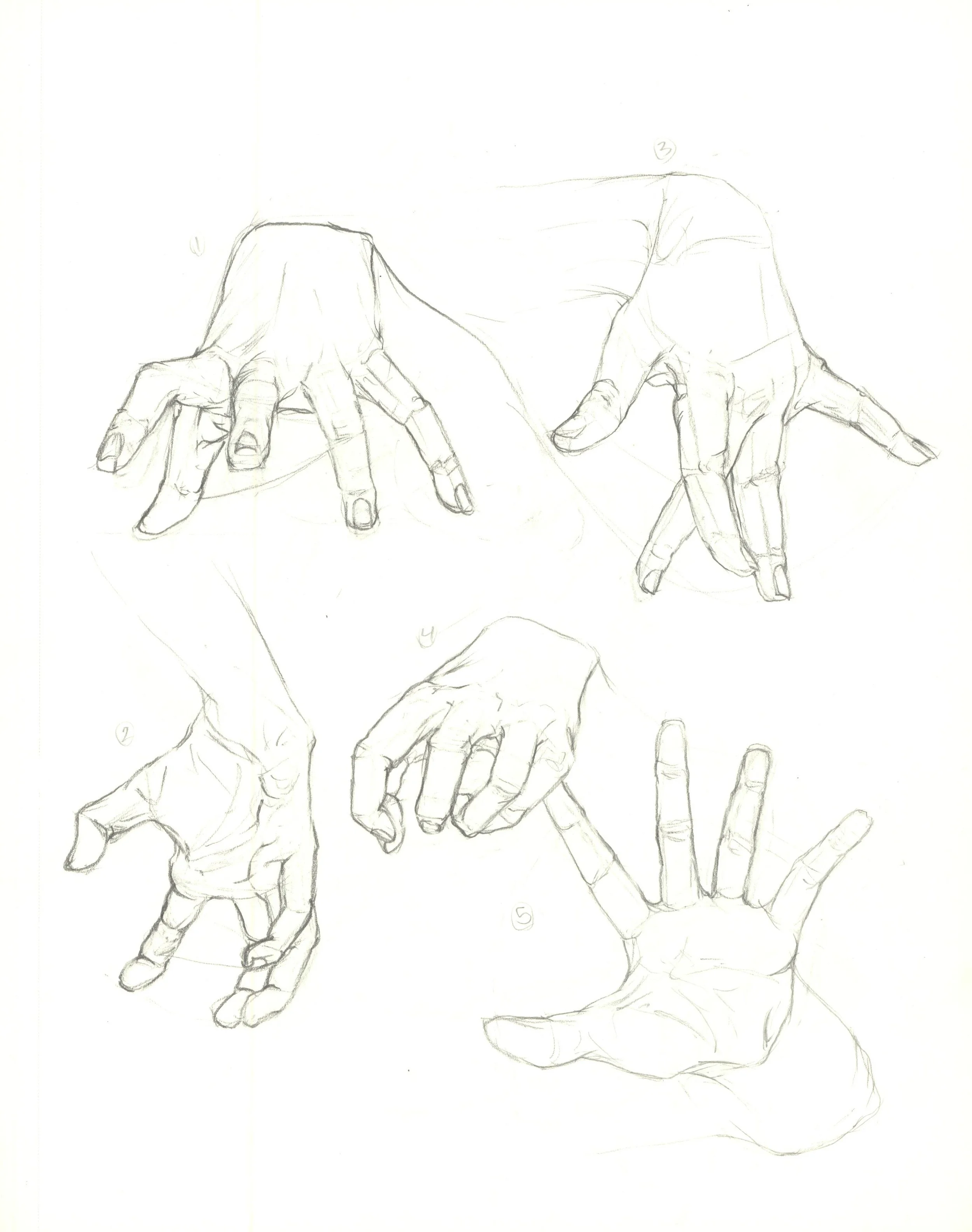 Hands_referencelibrary1.jpg