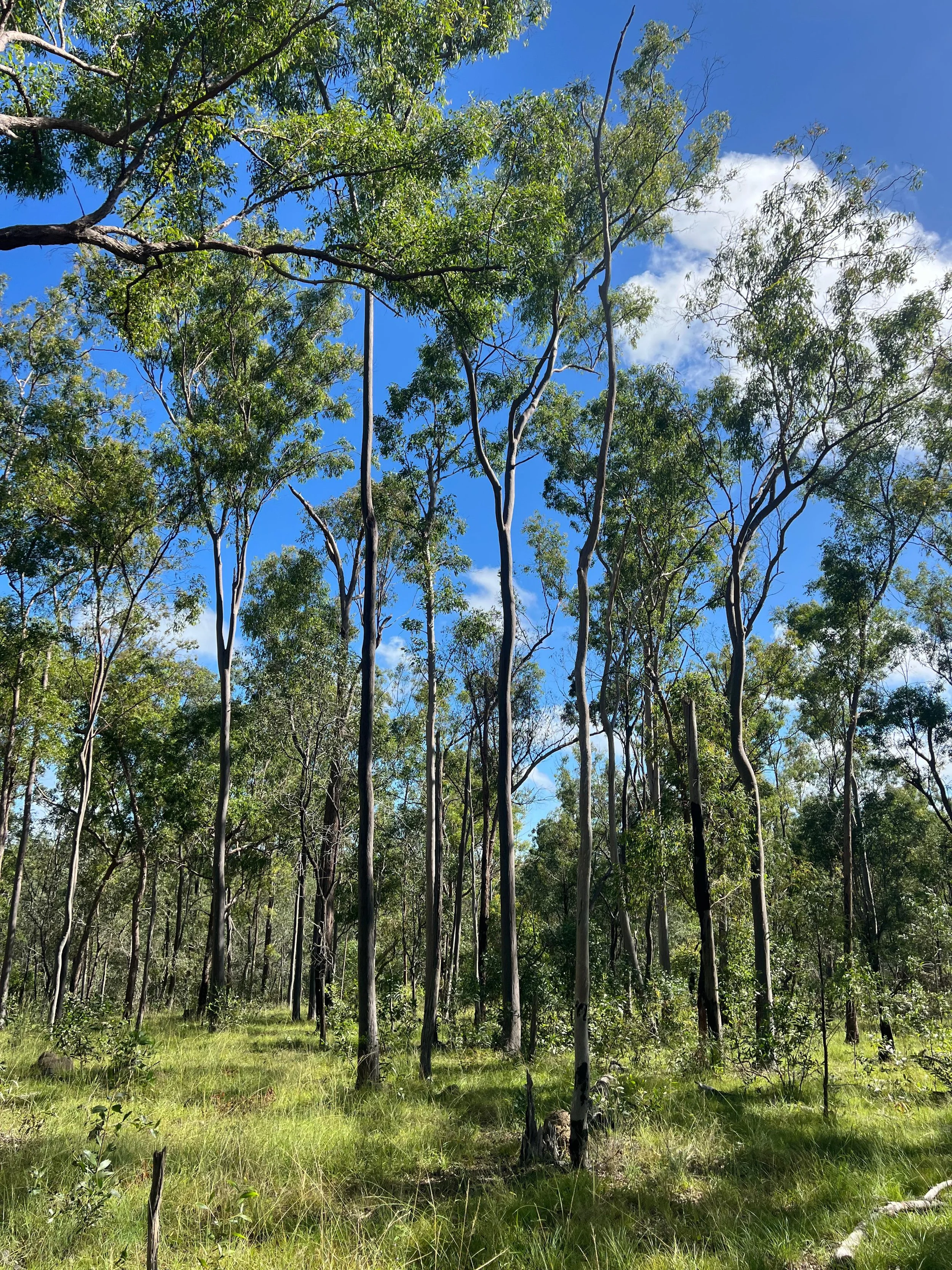 WhatsApp Image 2024-03-18 at 1.32.47 PM (1).jpeg