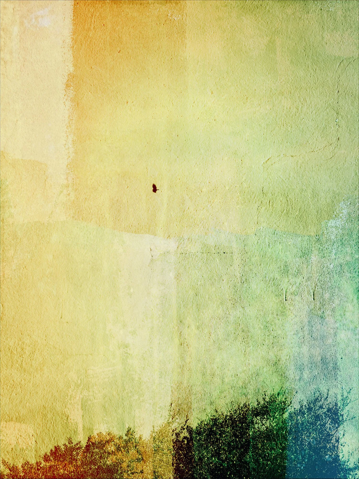 We Are Not Flying Alone