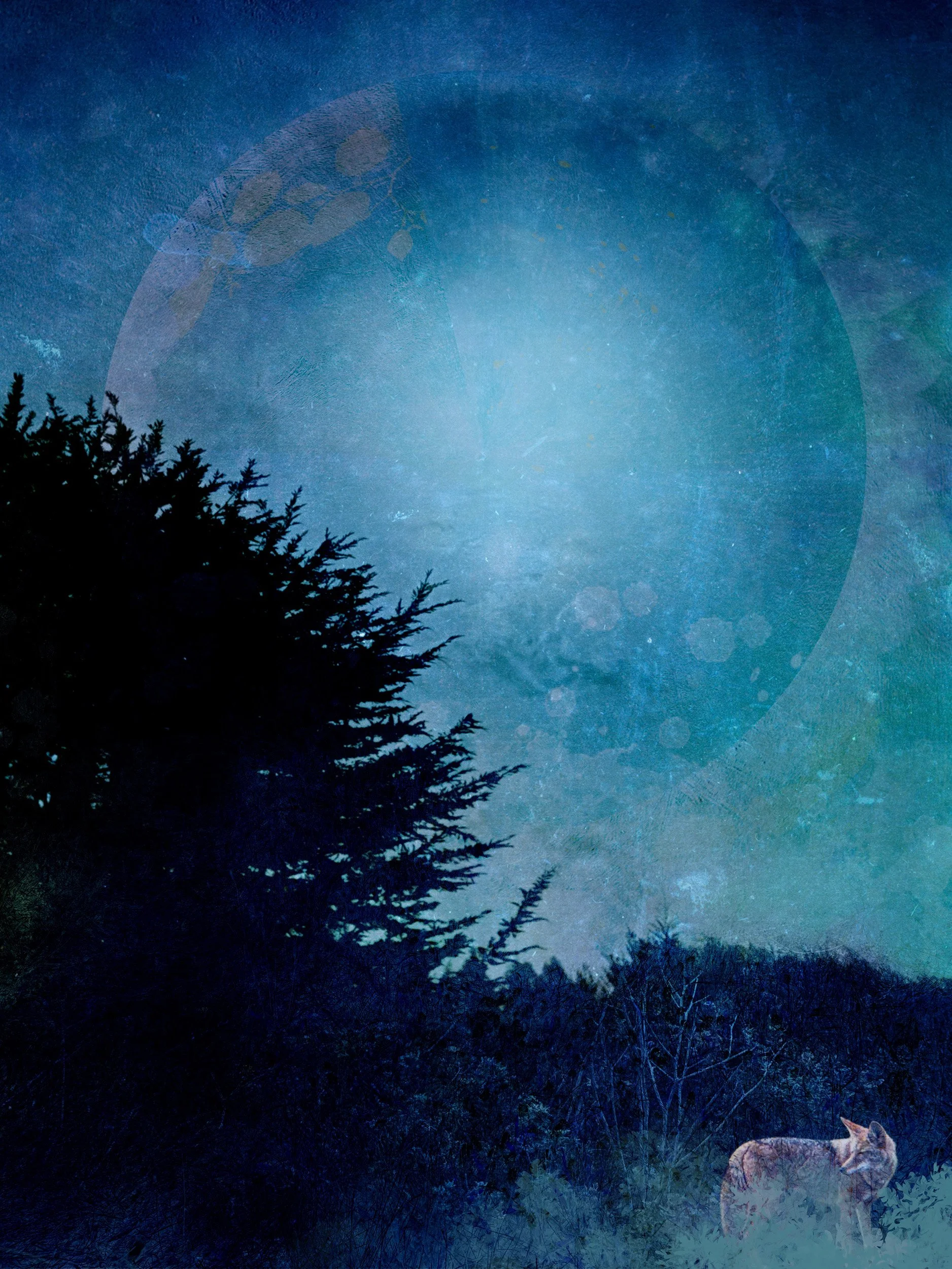 Moonlit Landscapes