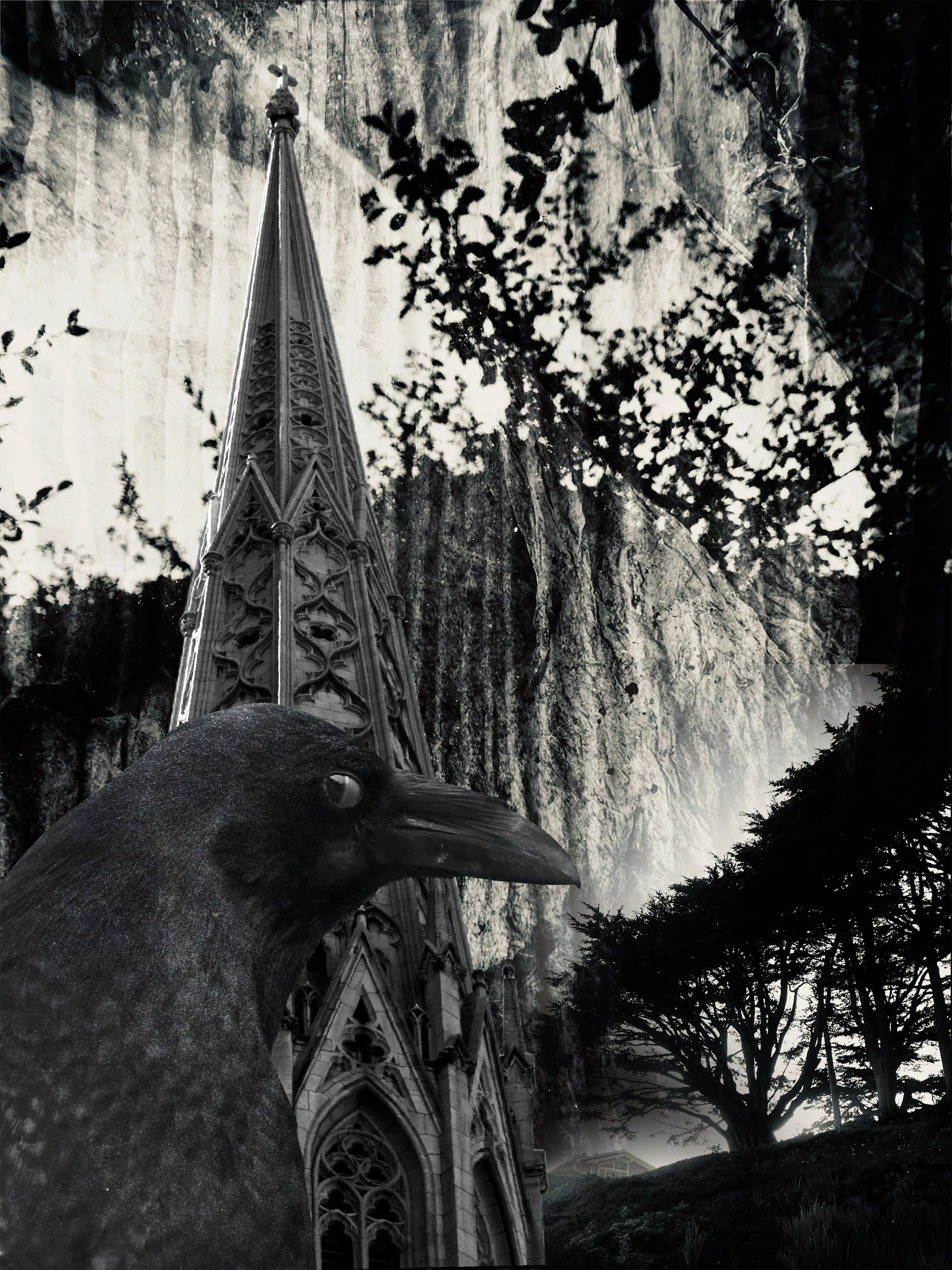 All in the Name of Religion