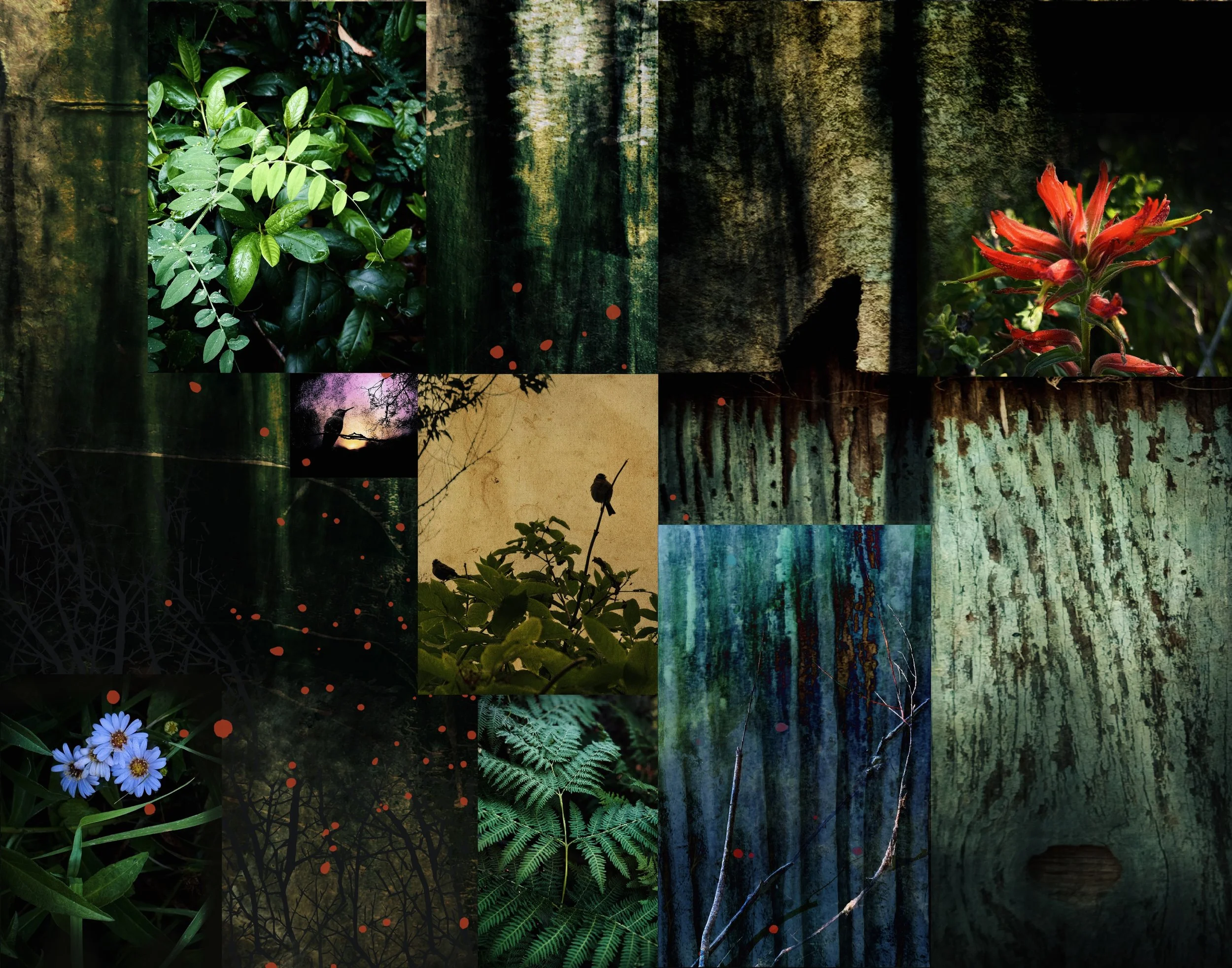 Spring 2026 ~ New Life