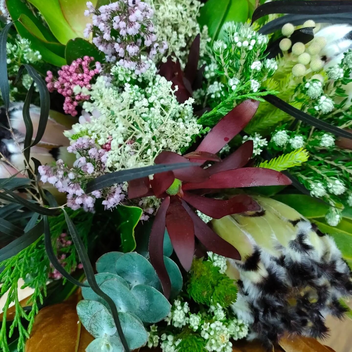 Beautiful foliage's in today!
Have you ordered your Mother's Day flowers yet?
#thevillageflorist #napierflorist 
#freshseasonalblooms #dailydelivery