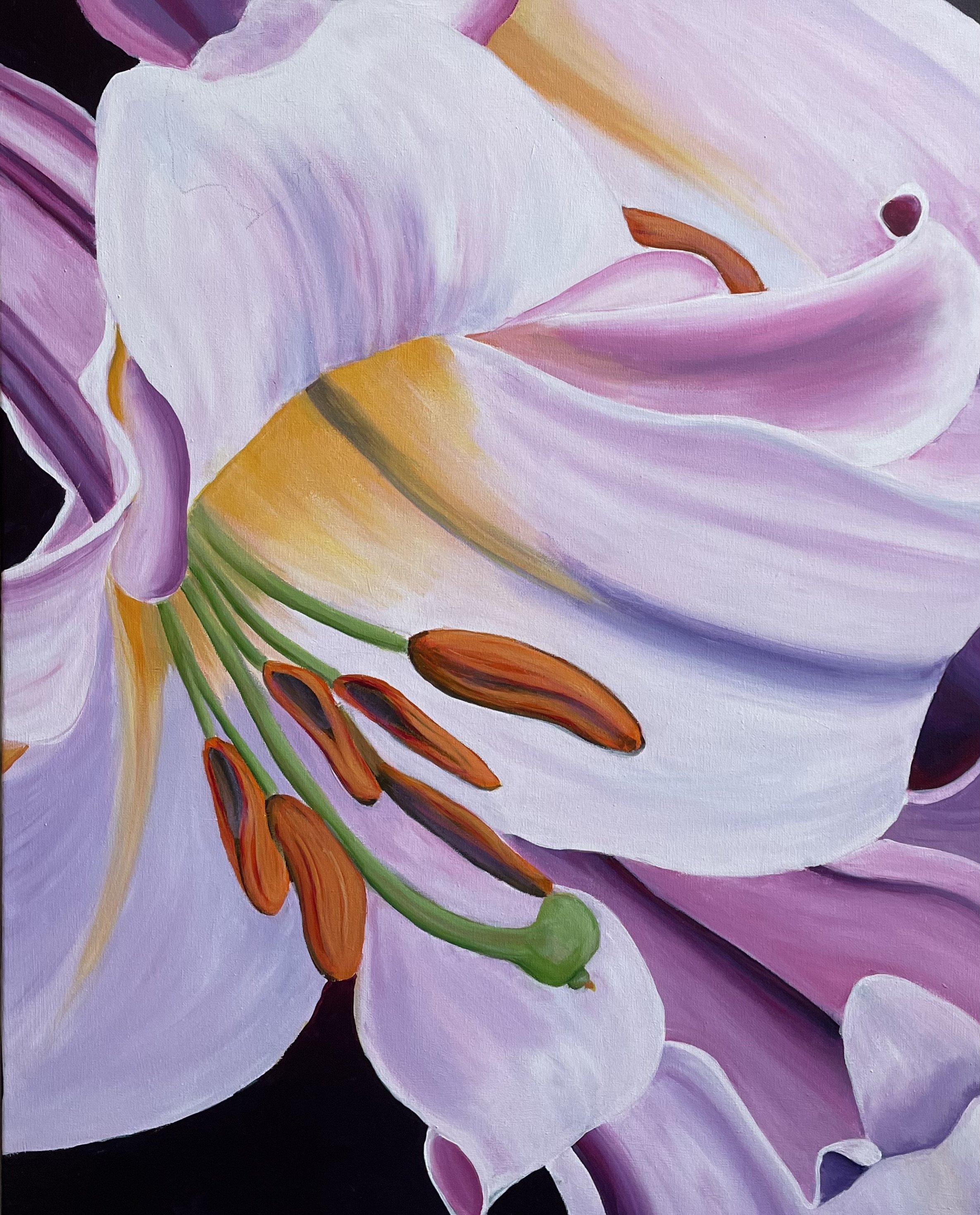 Ann Staunton, Pink Lilium, Acrylic on canvas, $200. 75 x 60 x 2 cm