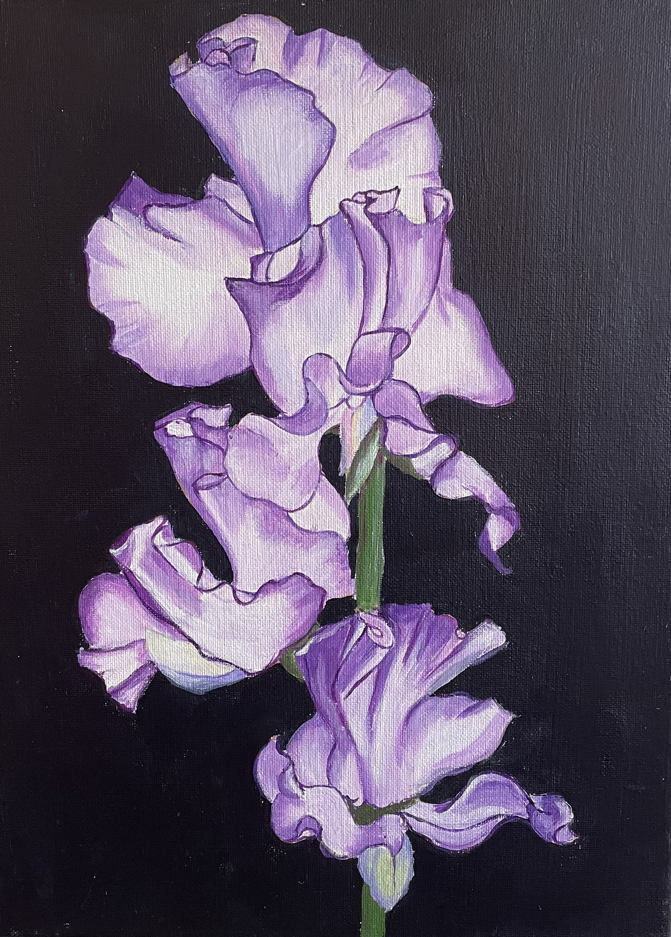 Ann Staunton, Sweetpeas, Acrylic on canvas, $125. 40 x 30 x 2 cm